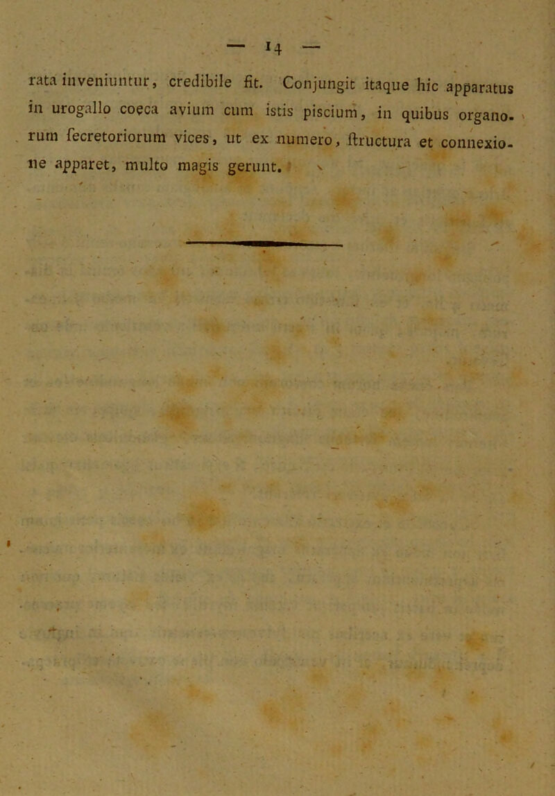 ratainveniumiir, credibile fit. Conjungit itaque hic apparatus in urogallo coeca avium cum istis piscium, in quibus'organo. ' rutn recretoriorum vices, ut ex numero, ftructura et connexio, ne apparet, multo magis gerunt. ^ t I ‘■-7 ^ •/ J /