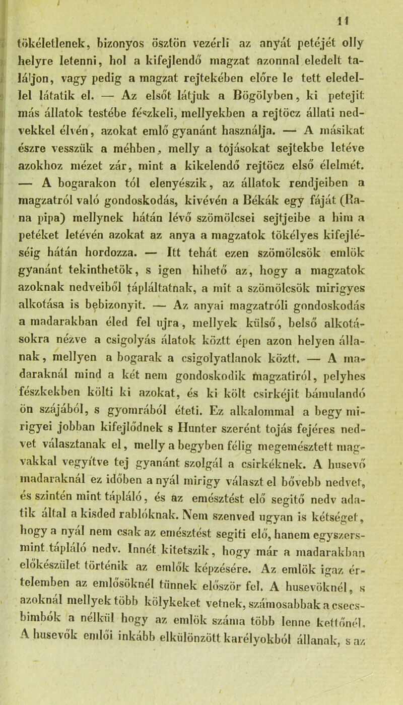 tökéletlenek, bizonyos ösztön vezérli az anyát petéjét olly helyre letenni, hol a kifejlendő magzat azonnal eledelt ta- láljon, vagy pedig a magzat Fejtekében előre le tett eledel- lel látatik el. — Az elsőt látjuk a Bögölyben, ki petejit más állatok testébe fészkeli, mellyekben a rejtöcz állati ned- vekkel élvén, azokat emlő gyanánt használja. — A másikat észre vesszük a méhben, melly a tojásokat sejtekbe letéve azokhoz mézet zár, mint a kikelendő rejtöcz első élelmét. — A bogarakon tói elenyészik, az állatok rendjeiben a magzatról való gondoskodás, kivévén a Békák egy fáját (Ba- na pipa) mellynek hátán lévő szömölcsei sejtjeibe a him a petéket letévén azokat az anya a magzatok tökélyes kifejté- séig hátán hordozza. — Itt tehát ezen szömölcsök emlők gyanánt tekinthetők, s igen hihető az, hogy a magzatok azoknak nedveiből tápláltatnak, a mit a szömölcsök mirigyes alkotása is bebizonyit. — Az anyai magzatróli gondoskodás a madarakban éled fel újra, mellyek külső, belső alkotá- sokra nézve a csigolyás álatok köztt épen azon helyen álla- nak , mellyen a bogarak a csigolyatlanok köztt. — A ma- daraknál mind a két nem gondoskodik magzatiról, pelyhes fészkekben költi ki azokat, és ki költ csirkéjit bámulandó ön szájából, s gyomrából éteti. Ez alkalommal a begy mi- rigyei jobban kifejlődnek s Hunter szerént tojás fejéres ned- vet választanak el, melly a begyben félig megemésztett mag- vakkal vegyítve tej gyanánt szolgál a csirkéknek. A húsevő madaraknál ez időben a nyal mirigy választ el bővebb nedvet, es szinten mint tápláló, es az emésztést elő seffitő nedv ada- O tik áltál a kisded rablóknak. Nem szenved ugyan is kétséget, hogy a nyal nem csak az emésztést segiti elő, hanem egyszers- mint tápláló nedv. Innét kitetszik, hogy már a madarakban előkészület történik az emlők képzésére. Az emlők igaz ér- telemben az emlősöknél tűnnek először fel. A húsevőknél, s azoknál mellyek több kölykeket vetnek, számosabbak a csecs- bimbók a nélkül hogy az emlők száma több lenne kettőnél. A húsevők emlői inkább elkülönzött karélyokból állanak, s az