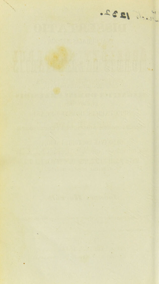 digitised image 2