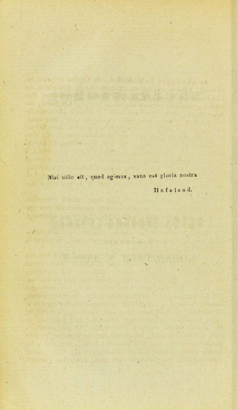 Nisi uUle sit, quod agimus, vana esi glória noslra 11 n f e 1 a n d.