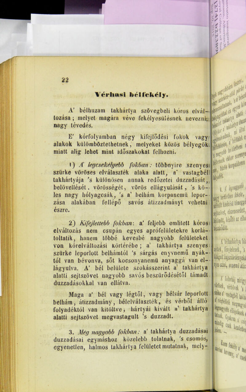 I Vérliasi bél fekély. A’ bélhuzam takhártya szövegbeli kórus elvál- tozása ; melyet magára véve fekélyesüíésnek nevezni; nagy tévedés. E’ kórfolyamban négy kifejlődési fokok vagy alakok külömböztethetnek, melyeket közös bélyegök miatt alig lehet mint időszakokat felhozni. 1) Á legcsekélyebb fokban: többnyire szenyes szürke vöröses elválaszték alaka alatt, a* vastagbél takhártyája ’s különösen annak redőzetei duzzadását, belövellését, vörösségét, vörös ellágyulását, ’s kö- les nagy hólyagcsák, ’s a’ belhám korpanemü lepor- zása alakéban fellépő savós átizzadmányt vehetni észre. 2) Kifejlettebb fokban: a’ feljebb említett kóros elváltozás nem csupán egyes aprófelületekre korlá- toltatik, hanem többé kevésbé nagyohb felületeket von kórelváltozási körtérébe; a’ lakhártya szenyes szürke leporlott belhámtól ’s sárgás enyvnemíí nyák- tól van bévonva, sőt kocsonyanemü anyaggá van el- lágyulva. A’ bél belülele szokásszerint a’ takhártya alatti sejtszövet nagyobb savós beszürődésétől támadt duzzadásokkal van ellátva. Maga a' bél vagy légtől, vagy bélsár leporlott belhám, átizzadmány, bélelválaszték, és vérből álló folyadéktól van kitöltve; hártyái kivált a1 takhártya alatti sejtszövet megvastagult ’s duzzadt. 3. Még nagyobb fokban: a’ takhártya duzzadásai duzzadásai egymáshoz közelebb tolatnak, ’s csomós, egyenetlen, halmos takhártya felületet mutatnak, mely-