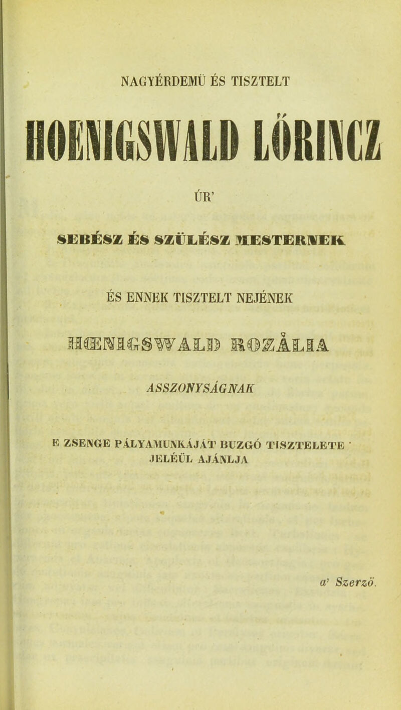 NAGYERDEMU ES TISZTELT HOENIGSWILD LORIIZ UR’ i§EBESZ i»ZilL<ff:iSZ ItlESTORlVEK. ES ENNEK TISZTELT NEJENEK mmAhiA ASSZONYSAGNAK E ZSEKGE PALYAi\IUi\KAJAT BUZGO TISZTELETE ’ JELEIL AJAMiJA fl’ Szerzo.