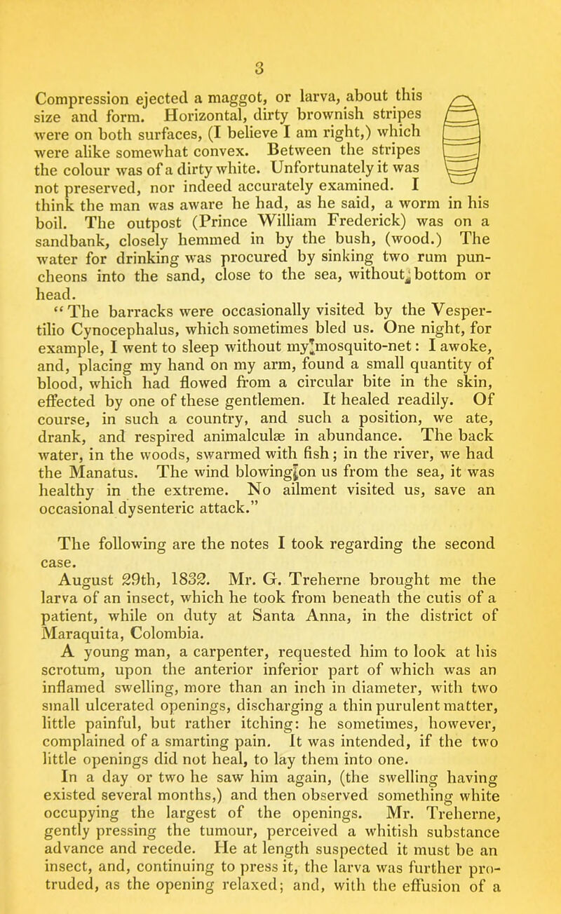Compression ejected a maggot, or larva, about this size and form. Horizontal, dirty brownish stripes were on both surfaces, (I believe I am right,) which were alike somewhat convex. Between the stripes the colour was of a dirty white. Unfortunately it was not preserved, nor indeed accurately examined. I think the man was aware he had, as he said, a worm in his boil. The outpost (Prince William Frederick) was on a sandbank, closely hemmed in by the bush, (wood.) The water for drinking was procured by sinking two rum pun- cheons into the sand, close to the sea, without^ bottom or head. “The barracks were occasionally visited by the Vesper- tilio Cynocephalus, which sometimes bled us. One night, for example, I went to sleep without my’mosquito-net: I awoke, and, placing my hand on my arm, found a small quantity of blood, which had flowed from a circular bite in the skin, effected by one of these gentlemen. It healed readily. Of course, in such a country, and such a position, we ate, drank, and respired animalcule in abundance. The back water, in the woods, swarmed with fish; in the river, we had the Manatus. The wind blowing|on us from the sea, it was healthy in the extreme. No ailment visited us, save an occasional dysenteric attack.” The following are the notes I took regarding the second case. August 29th, 1832. Mr. G. Treherne brought me the larva of an insect, which he took from beneath the cutis of a patient, while on duty at Santa Anna, in the district of JVIaraquita, Colombia. A young man, a carpenter, requested him to look at his scrotum, upon the anterior inferior part of which was an inflamed swelling, more than an inch in diameter, with two small ulcerated openings, discharging a thin purulent matter, little painful, but rather itching: he sometimes, however, complained of a smarting pain. It was intended, if the two little openings did not heal, to lay them into one. In a day or two he saw him again, (the swelling having existed several months,) and then observed something white occupying the largest of the openings. Mr. Treherne, gently pressing the tumour, perceived a whitish substance advance and recede. He at length suspected it must be an insect, and, continuing to press it, the larva was further pro- truded, as the opening relaxed; and, with the effusion of a