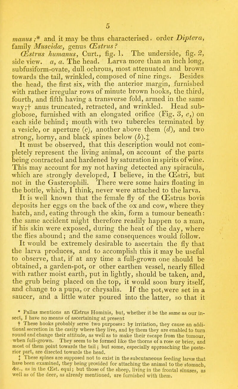 matins ;* and it may be thus characterised. order Diptera, family Muscidos, genus CEstrus ? QZstrus humanus. Curt., fig. 1. The underside, fig. 2, side view, a, a. The head. Larva more than an inch long, subfusiform-ovate, dull ochrous, most attenuated and brown towards the tail, wrinkled, composed of nine rings. Besides the head, the first six, with the anterior margin, furnished with rather irregular rows of minute brown hooks, the third, fourth, and fifth having a transverse fold, armed in the same way;L anus truncated, retracted, and wrinkled. Head sub- globose, furnished with an elongated orifice (Fig. 3, e,) on each side behind; mouth with two tubercles terminated by a vesicle, or aperture (c), another above them ((/), and two strong, horny, and black spines below (6).J It must be observed, that this description would not com- pletely represent the living animal, on account of the parts being contracted and hardened by saturation in spirits of wine. This may account for my not having detected any spiracula, which are strongly developed, I believe, in the CEstri, but not in the Gasterophili. There were some hairs floating in the bottle, which, I think, never were attached to the larva. It is well known that the female fly of the CEstrus bovis deposits her eggs on the back of the ox and cow, where they hatch, and, eating through the skin, form a tumour beneath: the same accident might therefore readily happen to a man, if his skin were exposed, during the heat of the day, where the flies abound; and the same consequences would follow. It would be extremely desirable to ascertain the fly that the larva produces, and to accomplish this it may be useful to observe, that, if at any time a full-grown one should be obtained, a garden-pot, or other earthen vessel, nearly filled with rather moist earth, put in lightly, should be taken, and, the grub being placed on the top, it would soon bury itself, and change to a pupa, or chrysalis. If the poLwere set in a saucer, and a little water poured into the latter, so that it • Pallas mentions an CEstrus Hominis, but, whether it be the same as our in- sect, I have no means of ascertaining at present t These hooks probably serve two purposes: by irritation, they cause an addi- tional secretion in the cavity where they live, and by them they are enabled to turn round and change their attitude, as well as to make their escape from the tumour, when full-grown. They seem to be formed like the thorns of a rose or brier, and most of them point towards the tail; but some, especially approaching the poste- rior part, are diiected towards the head. I These spines are supposed not to exist in the subcutaneous feeding lame that have been examined, they being provided for attaching the animal to the stomach, <fcc., as in the CEst. equi; but those of the sheep, living in the frontal sinuses, as well as of the deer, as already mentioned, are furnished with them.