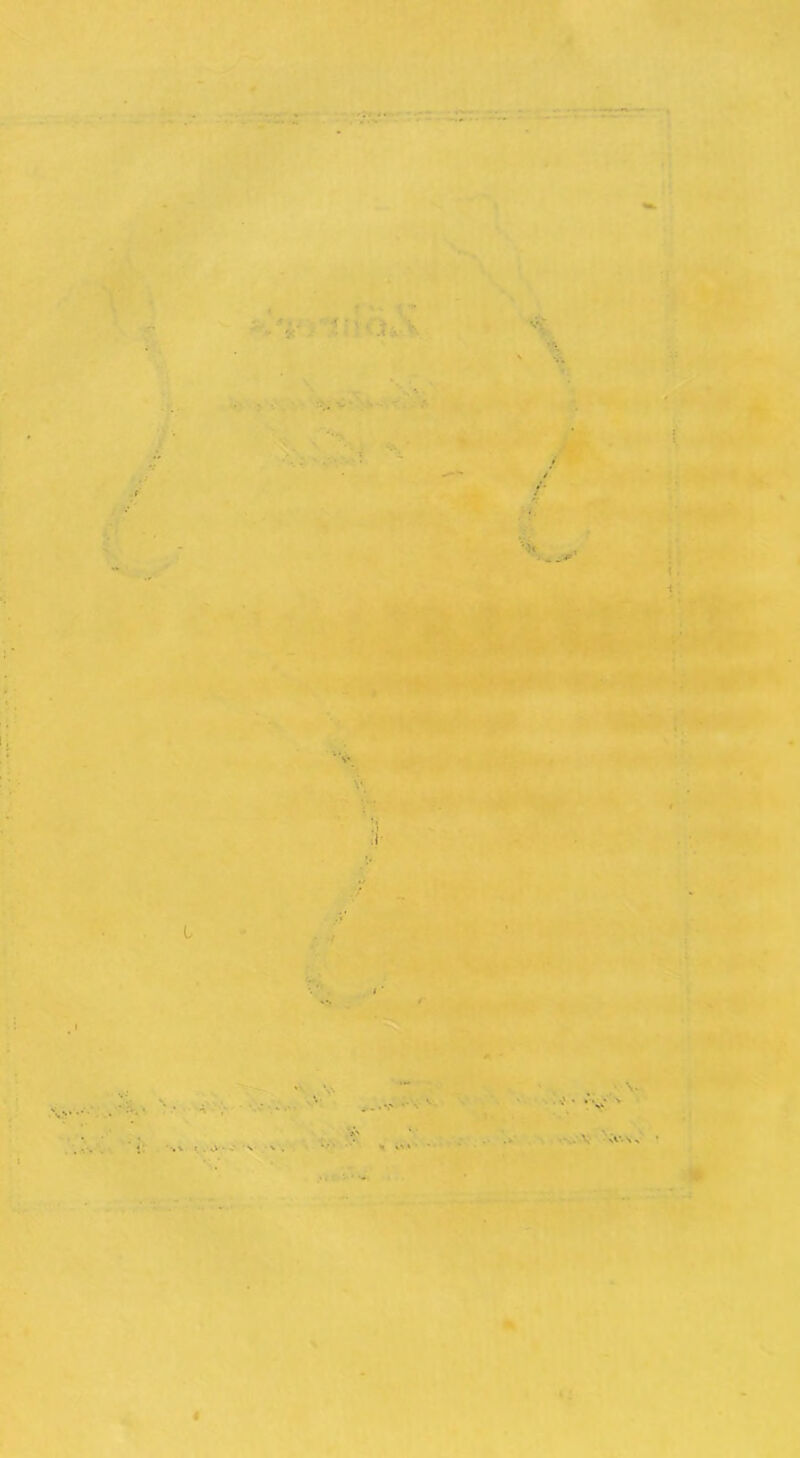 * ■ - < ■ - . V*W «• I v - '. ^ $