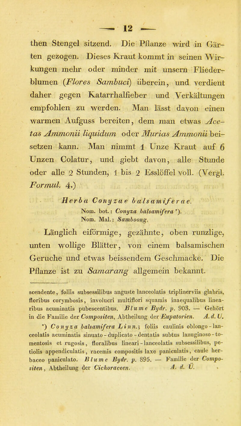 then Stengel sitzend. Die Pflanze wird in Gär- ten gezogen. Dieses Kraut kommt in seinen Wir- kungen melir oder minder mit unsern Flieder- blumen {Flores Sambuci) überein, und verdient ■ ✓ daher gegen Katarrhallieber und Verkältungen empfohlen zu werden. Man lässt davon einen warmen Aufguss bereiten, dem man etwas Ace- tas Amnionii liquidum oder Muricis Ammonii bei- setzen kann. Man nimmt 1 Unze Kraut auf 6 Unzen Colatur, und giebt davon, alle Stunde oder alle 2 Stunden, 1 bis 2 Esslöffel voll. (Vergl. Formul. 4.) Herba Conyzae b als amifer ae. Nom. bot.: Conyza balsamifera ’). Nom. Mal.: Samboong. Länglich eiförmige, gezähnte, oben runzlige, unten wollige Blätter, von einem balsamischen Gerüche und etwas heissendem Geschmacke. Die Pflanze ist zu Samcirang allgemein bekannt. scendente, foliis subsessilibus anguste lanceolatis triplinerviis glabris, floribus corymbosis, involucri multiflori squamis inaequalibus linea- ribus acuminatis pubescentibus. Blume Bydr. p. 903. — Gehört in die Familie der Compositen, Abtheilung der Eupatorien. A. d. U. ’) Conyza balsamifera Linn.; foliis caulinis oblongo-lan- ceolatis acuminatis sinuato - duplicato - dentatis subtus lanuginoso - to- mentosis et rugosis, floralibus lineari - lanceolatis subsessilibus, pe- tiolis appendiculatis, racemis compositis laxe paniculatis, caule her- baceo paniculato. Blume Bydr. p. 895. — Familie der Compo- siten, Abtheilung der Cichoraceen. A. d. V.