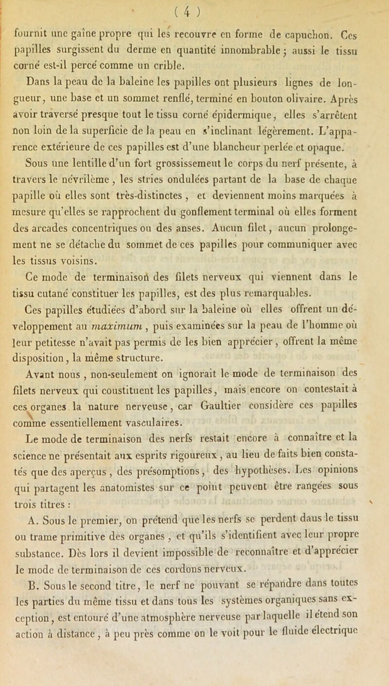 ( 4 ) fournit une gaîne propre ([iii les recouvre en forme de capuchon. Ces papilles surgissent du derme en quantité innombrable j aussi le tissu corné est-il percé comme un crible. Dans la peau de la baleine les papilles ont plusieurs lignes de lon- gueur, une base et un sommet renflé, terminé en bouton olivaire. Apres avoir traversé presque tout le tissu corné épidermique, elles s’arrêtent non loin delà superficie de la peau en .s’inclinant légèrement. L’appa- rence extérieure de ces papilles est d’une blancheur perlée et opaque. Sous une lentille d’un fort grossissement le corps du nerf présente, à travers le névrilcme , les stries ondulées partant de la base de chaque papille où elles sont très-distinctes , et deviennent moins marquées à mesure qu’elles se rapprochent du gonflement terminal ou elles forment des arcades concentriques ou des anses. Aucun filet, aucun prolonge- ment ne se détache du sommet de ces papilles pour communiquer avec les tissus voisins. Ce mode de terminaisort des filets nerveux qui viennent dans le tissu cutané constituer les papilles, est des plus remarquables. Ces papilles étudiées d’abord sur la baleine où elles offrent un dé- veloppement au maximum , puis examinées sur la peau de l’homme où leur petitesse n’avait pas permis de les bien apprécier , offrent la même disposition, la même structure. Avant nous , non-seulement on ignorait le mode de terminaison des filets nerveux qui constituent les papilles, mais encore on contestait à ces organes la nature nerveuse, car Gaultier considère ces papilles comme essentiellement vasculaires. Le mode de terminaison des nerfs restait encore à connaître et la science ne présentait aux esprits rigoureux , au lieu de faits bien consta- tés que des aperçus , des présomptions, des hypothèses. Les opinions qui partagent les anatomistes sur ce point peuvent être rangées sous trois titres : A. Sous le premier, on prétend que les nerfs se perdent daus le tissu ou trame primitive des organes , et qu’ils s’identifient avec leur propre substance. Dès lors il devient impossible de reconnaître et d apprécier le mode de terminaison de ces cordons nerveux. B. Sous le second titre, le nerf ne pouvant se répandre dans toutes les parties du même tissu et dans tous les systèmes organiques sans ex- ception , est entouré d’une atmosphère nerveuse par laquelle il étend son action à distance, à peu près comme on le voit pour le fluide électrique