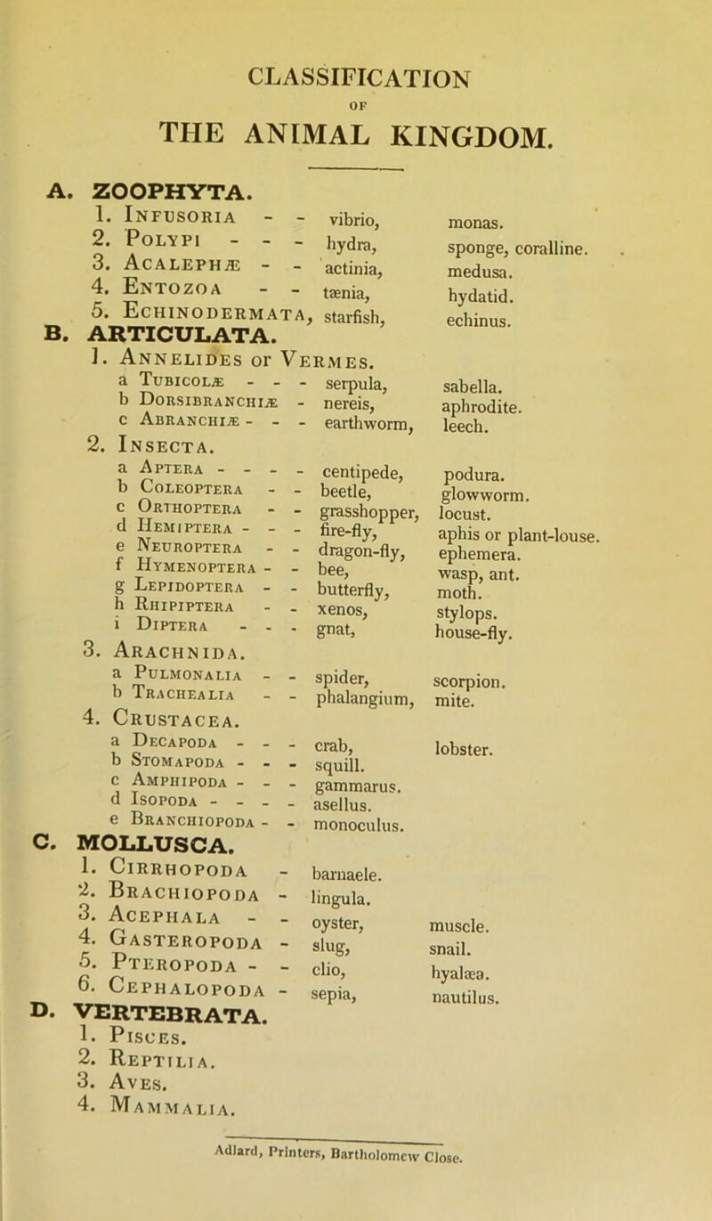 CLASSIFICATION OF THE ANIMAL KINGDOM. A. ZOOPHYTA. 1. Infusoria — - vibrio, 2. Polypi - - - hydra,’ 3. AcaLEPHAS - - actinia, 4. Entozoa - - taenia, 5. Echinodermata, starfish B. ARTICULATA. L Annelides or Vermes. a Tubicola; - - serpula, b Dorsibranchije - nereis, c Abranchia: - - - earthworm, 2. Insecta. a Aptera - - - - centipede, b Coleoptera - - beetle, c Orthoptera - - grasshopper, d Hemjptera - - - fire-fly, e Neuroptera - - dragon-fly, f Hymenoptera - - bee, g Lepidoptera h Rhipiptera i Diptera 3. Arachnida. a PULMONALIA b Trachealia 4. Crustacea. - butterfly, - xenos, • gnat. - - spider, - - phalangium. C. D. a Decapoda - - b Stomapoda - - c Amphipoda - - d ISOPODA - - - e Branchiopoda - MOLLUSCA. 1. ClRRHOPODA 2. Braciiiopoda 3. Acephala 4. Gasteropoda 5. Pteropoda - 6. Cephalopoda VERTEBRATA. 1. Pisces. 2. Reptilia. 3. Aves. 4. Mammalia. crab, squill. gammarus. asellus. monoculus. barnaele. lingula. oyster, slug, clio, sepia, monas. sponge, coralline, medusa, hydatid, echinus. sabella. aphrodite. leech. podura. glowworm. locust. aphis or plant-louse. ephemera. wasp, ant. moth. stylops. house-fly. scorpion. mite. lobster. muscle. snail. hyalaea. nautilus. Adlard, Printers, Bartholomew Close.