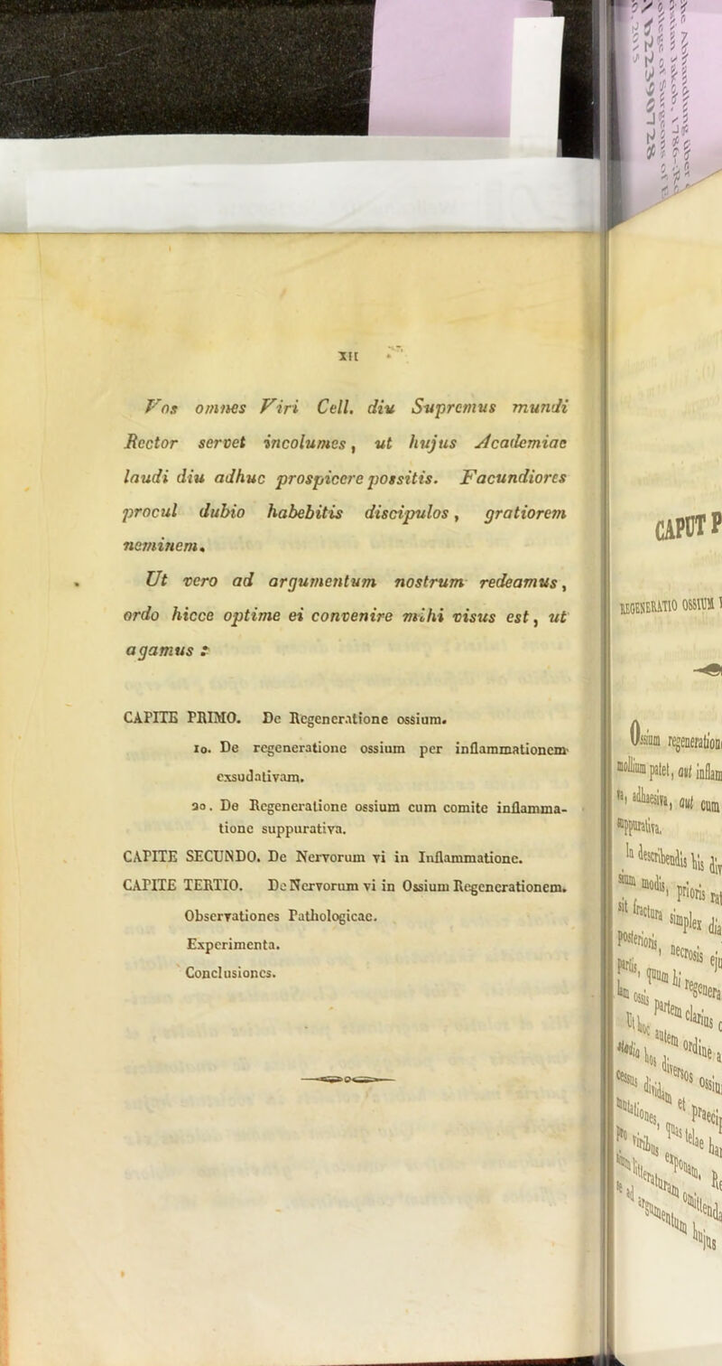 Vos omnes Viri Cell. diu Supremus mundi Rector servet incolumes, ut hujus Academiae laudi diu adhuc prospicere possitis. Facundiores procul dubio habebitis discipulos, gratiorem neminem. Ut vero ad argumentum nostrum redeamus, ordo hicce optime ei convenire mihi visus est, ut agamus ? CAPITE PRIMO. Dc Regeneratione ossium. io. De regeneratione ossium per inflammationem- exsudativam. ao. De Regeneratione ossium cum comite inflamma- tione suppurativa. CAFITE SECUNDO. De Nervorum vi in Inflammatione. CAPITE TERTIO. De Nervorum vi in Ossium Regenerationem. Observationes Fatliologicae. Experimenta. Conclusiones. caput P