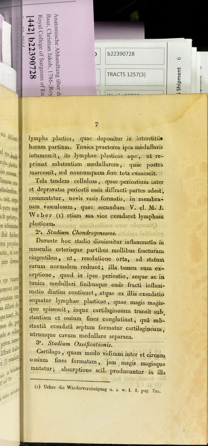 IX) £2 n 5 * sO c/o ® E? 'J CT3 b-> 8 m 3 03 > W 3 C P o 3 n 3“ W 3 ^* O O* iy) O 3 n> > 3 &) 3 O- c 3 XI_ 1 I,.--,— lympha plastica, quae deponitur ia interstitii» harum partium. Tunica praeterea ipsa medullaris primat substantiam medullarem, quae postea marcescit, sed nonnunquam fere tota evanescit. Tela tandem cellulosa, quae periostium inter et depravatas periostii ossis diffracti partes adest, commutatur, novis vasis formatis, in membra- nam vasculosam, quae secundum V. cl. M. J. Web er (i) etiam sua vice exsudaret lympham plasticam. 2°. Stadium Chondro(jcneseos. Durante hoc stadio diminuitur inflammatio in musculis ceterisque partibus mollibus fracturam cingentibus, ut, resolutione orta, ad statum earum normalem redeant ; illa tamen cum ex- ceptione, quod in ipso periostio, aeque ac in tunica medullari finibusque ossis fracti inflam- matio diutius continuet, atque ex illis exsudatio sequatur lymphae plasticae, quae magis magis- que spissescit, inque cartilaginosam transit sub stantiam et ossium fines conglutinat, qua sub- stantia exsudata septum formatur cartilagineum, utrumque cavum medullare separans, 3°. Stadium Ossificationis. Cartilago , quam modo vidimus inter et circum ossium fines formatam, jam magis magisque mutatur; absorptione scii, producuntur in illa (i) Ueber dic Wiedcryereinigung u. s. w. 1. pag. i2o.