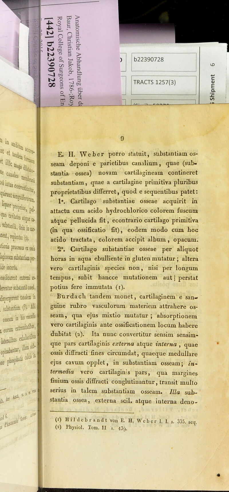 :u m a »t et: et illic ”e canales Sintus accies. ^funt li, c°DVestli itatur, Anguiferorum. pi Kpltntm (fy itionis processus ei ossis lile incerta, ossificarent extremi ar< lerentur substantia ossea, dispergerent tandem in l substantiam (51* osseam in bis ^ x eorum extremitatibus. laiolite f** «■M*. *“* der Anati u, * . ri» (A# , 73 C3 > 4— 4- O P c s. n o 0 §. R £ o- ?r CTQ 3 • O B. ?f 3 > ro O C>4 o -+) «-* 21 ® P •“t CIQ O P cr o- - 0) J— m 3 £ & 9 E. H. Weber porro statuit, substantiam os- seam deponi e parietibus canalium, quae (sub- stantia ossea) uovam cartilagineam contineret substantiam, quae a cartilagine primitiva pluribus proprietatibus differret, quod e sequentibus patet: 1°. Cartilago substantiae osseae acquirit iu attactu cum acido hydrochlorico colorem fuscum atque pellucida fit, econtrario cartilago primitiva (in qua ossificatio fit), eodem modo cum hoc acido tractata, colorem accipit album, opacum. 2°. Cartilago substantiae osseae per aliquot horas in aqua ebulliente in gluten mutatur; altera vero cartilaginis species non, nisi per longum tempus, subit hancce mutationem aut J perstat potius fere immutata (r). Burdacli tandem monet, cartilaginem e san- guine rubro vasculorum materiem attrahere os- seam, qua ejus mixtio mutatur ; absorptionem vero carlilaginis ante ossificationem locum habere dubitat (a). Ita nunc convertitur sensim sensim- que pars cartilaginis externa, atque interna , quae ossis diffracti fines circumdat, quaeque medullare ejus cavum opplet, in substantiam osseam; in- termedia vero cartilaginis pars, qua margines finium ossis diffracti conglutinantur, transit mullo serius in talem substantiam osseam. Illa sub- stantia ossea, externa scii, atque interna deno- (1) Hildcbrandt von E. Ii, Weber 1. I. s. 335. scq;. (2) Physiol. Tom. II s. 43g.