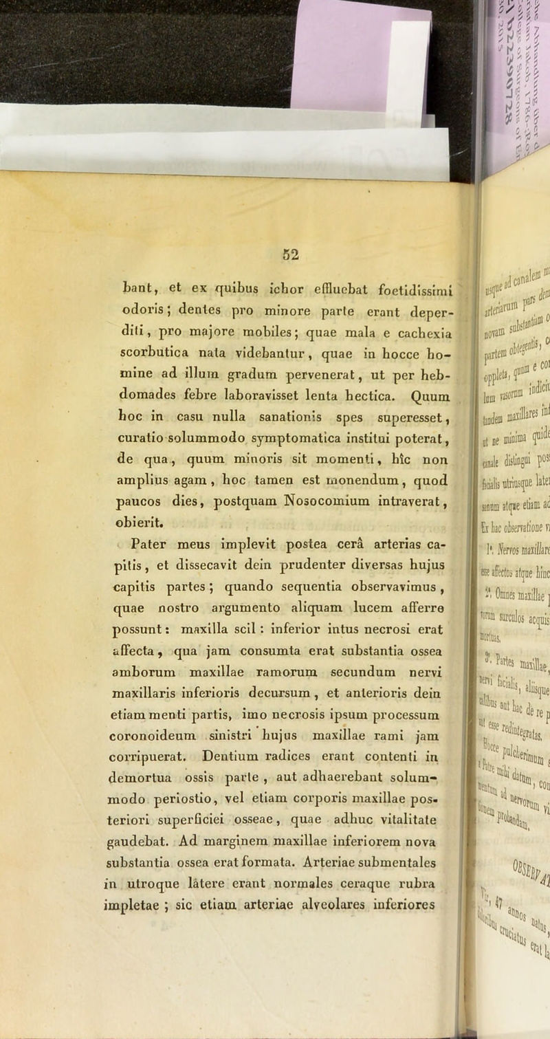 bant, et ex quibus ichor effluebat foetidissimi odoi’is; dentes pro minore parte erant deper- diti, pro majore mobiles; quae mala e cachexia scorbutica nala videbantur, quae in bocce ho- mine ad illum gradum pervenerat, ut per heb- domades febre laboravisset lenta hectica. Quum hoc in casu nulla sanationis spes superesset, curatio solummodo symptomatica institui poterat, de qua, quum minoris sit momenti, hic non amplius agam , hoc tamen est monendum, quod paucos dies, postquam Nosocomium intraverat, obierit. Pater meus implevit postea cera arterias ca- pitis , et dissecavit dein prudenter diversas hujus capitis partes; quando sequentia observavimus , quae nostro argumento aliquam lucem affei’re possunt: maxilla scii : inferior intus necrosi erat affecta, qua jam consumta erat substantia ossea amborum maxillae ramorum secundum nervi maxillaris inferioris decursum, et anterioris dein etiam menti partis, imo necrosis ipsum processum coronoideum sinistri hujus maxillae rami jam coiTipuerat. Dentium radices erant contenti in demortua ossis parte , aut adhaerebant solum- modo periostio, vel etiam corporis maxillae pos- teriori superGciei osseae, quae adhuc vitalitate gaudebat. Ad marginem maxillae inferiorem nova substantia ossea erat formata. Arteriae submentales in utroque latere erant normales ceraque rubra impletae ; sic etiam arteriae alveolares inferiores ea! cana gsf irjenarum Frs | mile distingui pos fecialis utriusque late) sanna atque etiam ^ Ei k obsemtioM n 1*. ftros millm Bft affectos W surculos aequis: ifes, millae, faciali: , u re<ill%alas, ' 5 ique “ervoru. i con ;m vi % V 41 17 V *