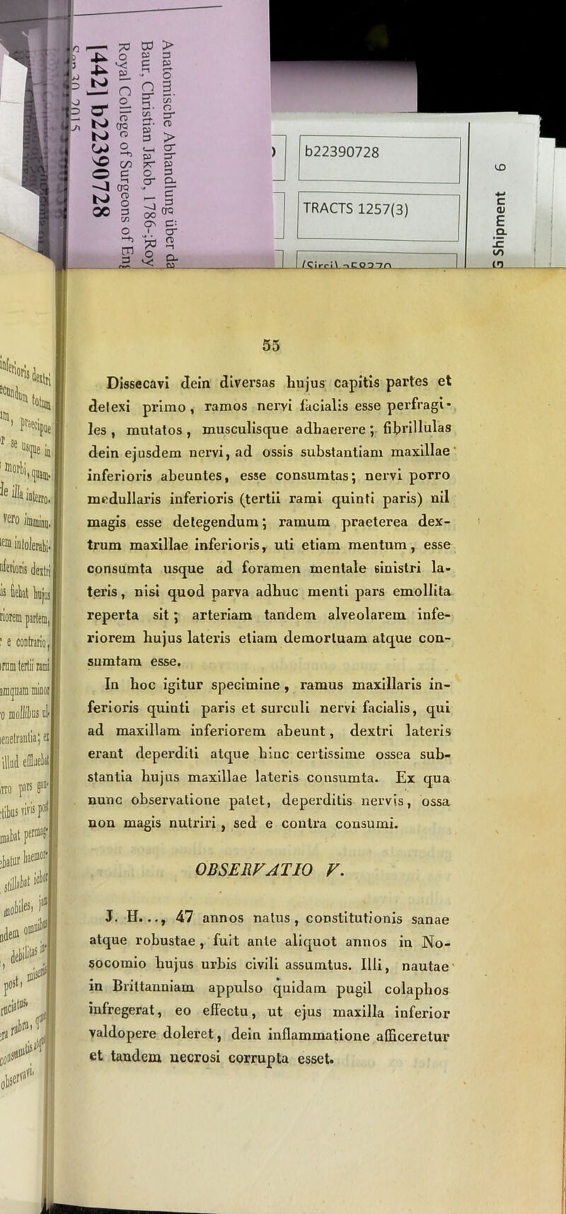 Dissecavi dein divei-sas hujus capitis partes et delexi primo, ramos nervi facialis esse perfragi* les , mutatos , musculisque adhaerere ; fihrillulas dein ejusdem nervi, ad ossis substantiam maxillae inferioris abeuntes, esse consumtas; nervi porro medullaris inferioris (tertii rami quinti paris) nil magis esse detegendum-, ramum praeterea dex- trum maxillae inferioris, uti etiam mentum, esse consumta usque ad foramen mentale 6inistri la- teris , nisi quod parva adhuc menti pars emollita reperta sit; arteriam tandem alveolarem infe- riorem hujus lateris etiam demortuam atque con- sumtam esse. In hoc igitur specimine, ramus maxillaris in- ferioris quinti paris et surculi nervi facialis, qui ad maxillam inferiorem abeunt, dextri lateris erant deperditi atque hinc certissime ossea sub- stantia hujus maxillae lateris consumta. Ex qua nunc observatione palet, deperditis nervis, ossa non magis nutriri, sed e contra consumi. J. H.47 annos natus, constitutionis sanae atque robustae , fuit ante aliquot annos in No- socomio hujus urbis civili assumtus. Illi, nautae' in Briltauniam appulso quidam pugil colaphos infregerat, eo effectu, ut ejus maxilla inferior valdopere doleret, dein inflammatione afficeretur et tandem necrosi corrupta esset.