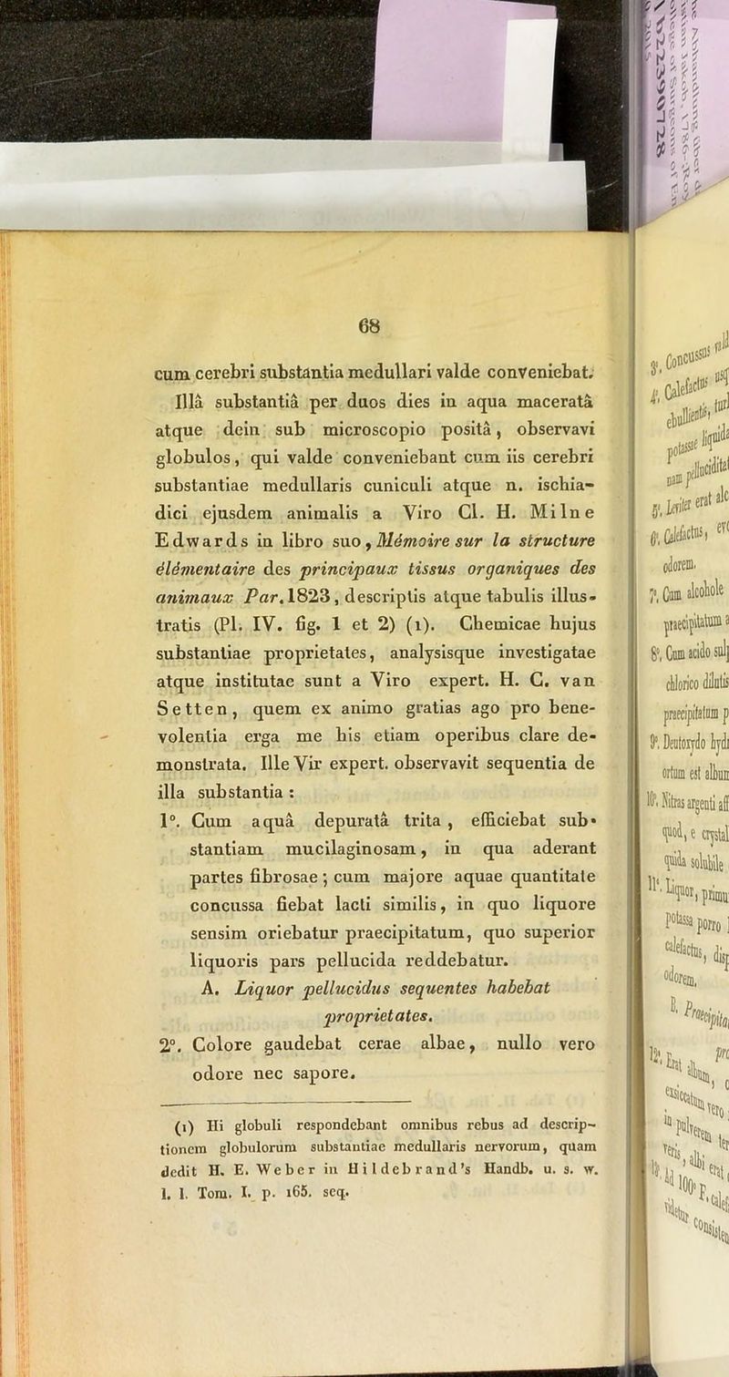 6« cum cerebri substantia medullari valde conveniebat. Illa substantia per duos dies in aqua macerata atque dein sub microscopio posita, observavi globulos, qui valde conveniebant cum iis cerebri substantiae medullaris cuniculi atque n. ischia- dici ejusdem animalis a Viro Cl. H. Milne Edwards in libro suo, Mdmoire sur la structure dlSmentaire des principaux tissus organiques des animaux Par. 1823, descriptis atque tabulis illus- tratis (Pl. IV. fig. 1 et 2) (i). Chemicae hujus substantiae proprietates, analysisque investigatae atque institutae sunt a Viro expert. H. G. van Setten, quem ex animo gratias ago pro bene- volentia erga me his etiam operibus clare de- monstrata. Ille Vir expert. observavit sequentia de illa substantia : 1°. Cum aqua depurata trita , efficiebat sub- stantiam mucilaginosam, in qua aderant partes fibrosae ; cum majore aquae quantitate concussa fiebat lacti similis, in quo liquore sensim oriebatur praecipitatum, quo superior liquoris pai’s pellucida reddebatur. A. Liquor pellucidus sequentes habebat proprietates. 2°. Colore gaudebat cerae albae, nullo vero odore nec sapore. (i) Hi globuli respondebant omnibus rebus ad descrip- tionem globulorum substantiae medullaris nervorum, quam dedit H. E. Weber in H i 1 d e b r a n d’s Handb. u. s. w.