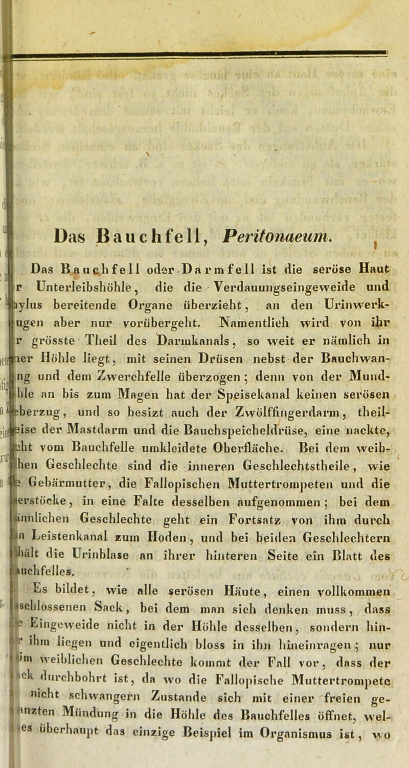 Das B a ii c h fe 11, Peritonaeum. Das B auc.lifell oder-Da r m f eil ist die seröse Haut r ünterleibshöhle, die die Verdauungseingeweide und US bereitende Organe überzieht, an den Urinw'erk- ugen aber nur vorübergeht. Namentlich wird von ihr r grösste Theil des l)ai’inknnals, so weit er nämlich in oer Höhle liegt, mit seinen Drüsen nebst der Bauchwan- ng und dem Zwerchfelle überzogen ; denn von der Mund- hle an bis zum Magen hat der Speisekanal keinen serösen iti« eberzug, und so besizt auch der Zwölffingerdarm, theil- ,VUl bise der Mastdarm und die Bauchspeicheldrüse, eine nackte, dit om Bauchfelle umkleidete Oberfläche. Bei dem weib- hen Geschlechte sind die inneren Geschlechtstheile, wie ^ Gebärmutter, die Fallopischen Muttertrompeten und die lerstöcke, in eine Falte desselben aufgenommen 5 bei dem |knnlicheji Geschlechte geht ein Fortsatz von ihm durch in Leistenkanal zum Hoden, und bei beiden Geschlechtern iljält ie Urinblase an ihrer hinteren Seite ein Blatt des isuchfelles. ■ 6 Es bildet, wie alle serösen Häute, einen vollkommen jiscblossenen Sack, bei dem man sich denken muss, dass Eingeweide nicht in der Höhle desselben, sondern hin- fi* ihm liegen und eigentlich bloss in ihn hineinragen 5 nur ||im weiblichen Geschlechte kommt der Fall vor, dass der ick durchbohrt ist, da wo die FalIo]iische Muttertrompetc nicht schwängern Zustande sich mit einer freien ge- nnzten Mündung in die Höhle des Bauchfelles öffnet, wel- les überhaupt das einzige Beispiel im Organismus ist, o 1(1