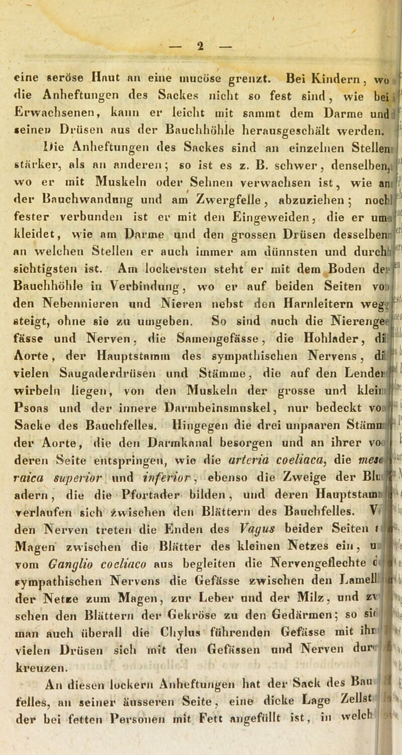 eine seröse Hnut an eine uiucöse grenzt. Bei Kindern, wo die Anheftungen des Sackes nicht so fest sind, wie beiil Erwachsenen, kann er leicht mit sainint dem Darme undi «eineu Drüsen aus der Bauchhöhle herausgeschält werden.* Die Anheftungen des Sackes sind an einzelnen Steilem stärker, als an anderen; so ist es z. B. schwer, denselben, wo er mit Muskeln oder Sehnen verw'achsen ist, wie an der Bauchwandnng und am Zwergfelle, abzuziehen 5 nocli fester verbunden ist er mit den Eingeweiden, die er umn kleidet, wie am Darme und den grossen Drüsen desselben-f an welchen Stellen er auch immer am dünnsten und durch'i sichtigsten ist. Am lockersten steht er mit dem Boden depf Bauchhöhle in Verbindung, wo er auf beiden Seiten vou den Nebennieren und Nieren nehst den Harnleitern vvega steigt, ohne sie zu umgeben. So sind auch die Nierenge fasse und Nerven, die Samengefässe, die Hohlader, dil Aorte, der Hauptstainm des sympathischen Nervens, dfl vielen Saugaderdrüsen und Stämme, die auf den Lender wirbeln liegen, von den Muskeln der grosse und kleimi Psoas und der innere Darmbeinsmiiskei, nur bedeckt voj““^ Sacke des Bauchfelles. Hingegen die drei unpaaren Stäm der Aorte, die den Darmkanal besorgen und an ihrer vo deren Seite entspringen, wie die arteriü coeliaca^ die meaa raica Superior und inferior, ebenso die Zweige der Blu adern, die die' Pfortader bilden, und deren Hauptstamn verlaufen sich Zwischen den Blätteni des Bauchfelles. Vt^ '•n den Nerven treten die Enden des Vagus beider Seiten r Magen zwischen die Blätter des kleinen Netzes ein, uj: vom Ganglio cocliaco aus begleiten die Nervengeflecbte c( pympathiscben Nervens die Gefässe zwischen den Lamell; der Netze zum Magen, zur Leber und der Milz, und ZV| sehen den Blättern der Gekröse zu den Gedärmen; so si«j man auch überall die Chylus führenden Gefässe mit ihi’| vielen Drüsen sich mit den Gefässen und Nerven duri | kreuzen. An diesen lockern Anheftungen hat der Sack des Bau # feiles, an seiner äusseren Seite, eine dicke Lage Zellst der bei fetten Personen mit Fett angefüllt ist, in welch ^ lfe <e, t