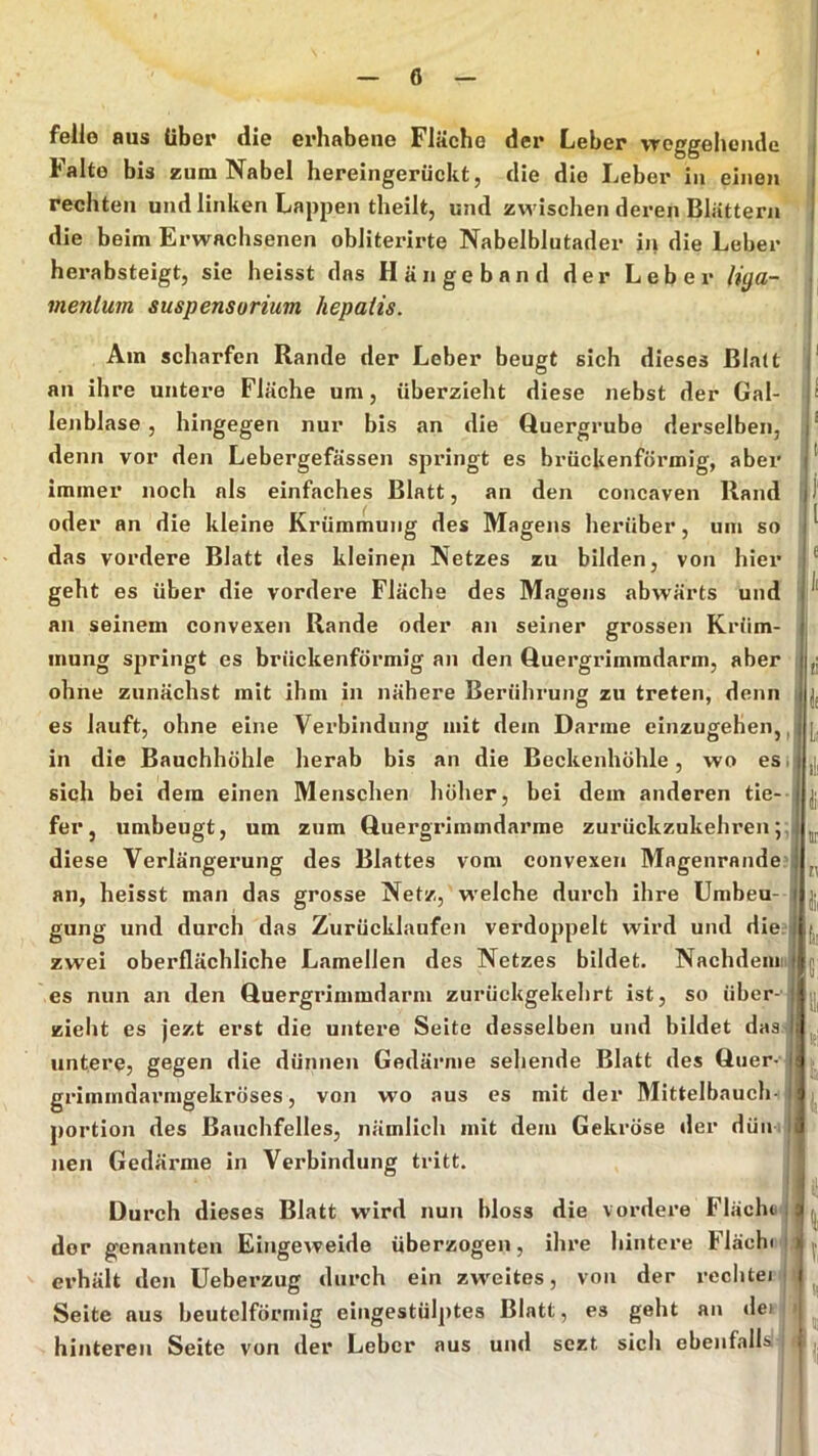 feile aus über die erhabene Fläche der Leber vreggeheiide Falte bis zum Nabel hereingerückt, die die Leber in einen rechten und linken Lappen theilt, und zwischen deren Blattern die beim Erwachsenen obliterirte Nabelblutader in die Leber herabsteigt, sie heisst das Hängeband der Leber liga- menlum Suspensorium hepatis. Am scharfen Rande der Leber beugt sich dieses Blatt an ihre untere Fläche um, überzieht diese nebst der Gal- lenblase , hingegen nur bis an die Quergrube derselben, denn vor den Lebergefässen springt es brückenförmig, aber immer noch als einfaches Blatt, an den concaven Rand oder an die kleine Krümmung des Magens heiniber, um so das vordere Blatt des kleinep Netzes zu bilden, von hier geht es über die vordere Fläche des Magens abwärts und an seinem convexen Rande oder an seiner grossen Krüm- mung springt es brückenförmig an den Quergrimmdarm, aber ohne zunächst mit ihm in nähere Berührung zu treten, denn es lauft, ohne eine Verbindung mit dem Darme einzugehen,, in die Bauchhöhle herab bis an die Beckenhöhle, wo es i sich bei dem einen Menschen höher, bei dem anderen tie- fer, umbeugt, um zum Quergrimmdarme zurückzukehren;, diese Verlängerung des Blattes vom convexen Magenrande an, heisst man das grosse Netz, w'elche durch ihre Umbeu- gung und durch das Zurücklaufen verdoppelt wird und die.l zwei oberflächliche Lamellen des Netzes bildet. Nachdenn es nun an den Quergrimmdarm zurückgekehrt ist, so über- zieht es jezt erst die untere Seite desselben und bildet das untere, gegen die dünnen Gedärme sehende Blatt des Quer- grimindai’mgekröses, von wo aus es mit der Mittelbauch-I portion des Bauchfelles, nämlich mit dem Gekröse der dün. | neu Gedärme in Verbindung tritt. Durch dieses Blatt wird nun bloss die vordere Flächti! der genannten Eingeweide überzogen, ihre hintere Flächi ! erhält den üeberzug durch ein zweites, von der recluei ' Seite aus beutclförmig eingestülj)tea Blatt, es geht an dei hinteren Seite von der Leber aus und sezt sich ebenfalls