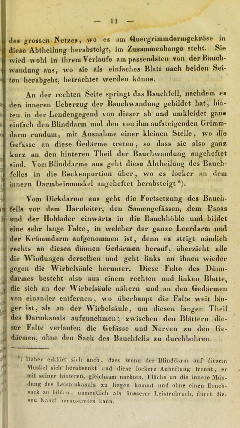 des grossen Netzes, wo es am ttuergrimmdarnigehröse in diese Abtlieilung herabsteigt, im Zusamnienhange steht. Sie wird wolil in ihrem Verlaufe am passendsten von derliauch- wandung aus, wo sie als einfaches Blatt nach beiden Sei* ten herabgebt, betrachtet werden könne. An der rechten Seite springt das Bauchfell, nachdem es den inneren üeberzug der Bauchwandung gebildet hat, hin- ten in der Lendengegend von dieser ab und umkleidet ganz einfach den Blinddarm und den von ihm aufsteigenden Grimm- darm rundum, mit Ausnahme einer kleinen Stelle, wo die Gefässe an diese Gedärme treten, so dass sie also ganz kurz an den hinteren Theil der Bauchwandung angeheftet sind. Vom Blinddärme aus geht diese Abtheilung des Bauch- feiles in die Beckenportion über, wo es locker an dem innern Darmbeinmuskel angeheftet herabsteigt*). «t lai 4 ii Vom Dickdarme aus geht die Fortsetzung des Bauch- fells vor dem Harnleiter, den Samengefässen, .dem Psoas und der Hohlader einwärts in die Bauchhöhle und bildet eine sehr lange Falte, in welcher der ganze Leerdarrti und der Krüinmdarm aufgenommen ist, denn es steigt nämlich rechts an diesen dünnen Gedärmen herauf, überzieht alle die Windungen derselben und geht links an ihnen wieder gegen die Wirbelsäule herunter. Diese Falte des Dünn- darmes besteht also aus einem rechten und linken Blatte, die sich an der Wirbelsäule nähern und an den Gedärmen von einander entfernen, wo überhaupt die Falte weit län- ger ist, als an der Wirbelsäule, um diesen langen Theil des Darinkanals aufzunehmen 5 zwischen den Blättern die- ser Falte verlaufen die Gefässe und Nerven zu den Ge- därmen, ohne den Sack des Bauchfells zu durchbohren. *) Daher erklärt sich auch, das.s wenn der Biiiuldnrin auf diesriu Muskel sich hcrabsenkt und diese lockere Anheftunp^ trennt, er mit seiner hinteren, gleichsam nackten, Flüche an die innere Rlün- diing des Leistenkanals zu liegen kommt und ohne einen Bruch- sack zu hildcii . namentlich al.s äusserer Lcistenbruch, durch die- sen Kanal li(>rausti-pt(‘n kann.