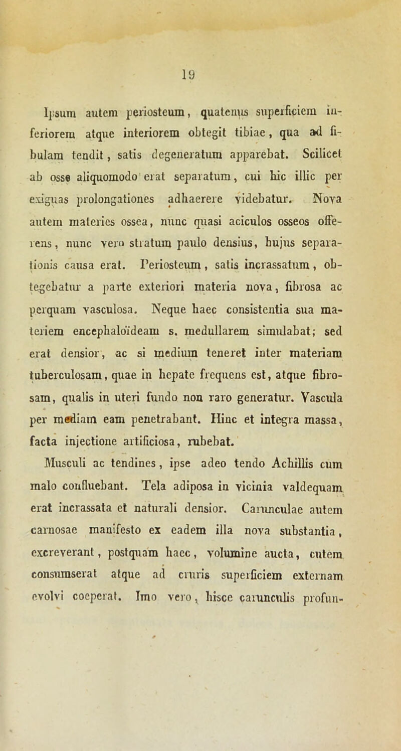 Ipsum autem periosteum, quaternis superficiem in- feriorem atque interiorem obtegit tibiae, qua ad fi- bulam tendit, satis degeneratum apparebat. Scilicet ab osse aliquomodo erat separatum, cui hic illic per exiguas prolongationes adhaerere videbatur. Nova autem materies ossea, nunc quasi aciculos osseos offe- rens , nunc vero stratum paulo densius, hujus separa- tionis causa erat. Periosteum , satis incrassatum , ob- tegebatur a parte exteriori materia nova, fibrosa ac perquam vasculosa. Neque haec consistentia sua ma- teriem encephaloideam s. medullarem simulabat; sed erat densior, ac si medium teneret inter materiam tuberculosam, quae in hepate frequens est, atque fibro- sam, qualis in uteri fundo non raro generatur. Vascula per mediam eam penetrabant. Hinc et integra massa, facta injectione artificiosa, rubebat. Musculi ac tendines , ipse adeo tendo Achillis cum malo confluebant. Tela adiposa in vicinia valdequam erat incrassata et naturali densior. Carunculae autem carnosae manifesto ex eadem illa nova substantia, excreverant, postquam haec, volumine aucta, cutem consumserat atque ad cruris superficiem externam evolvi coeperat. Imo vero ^ hisce carunculis profun-