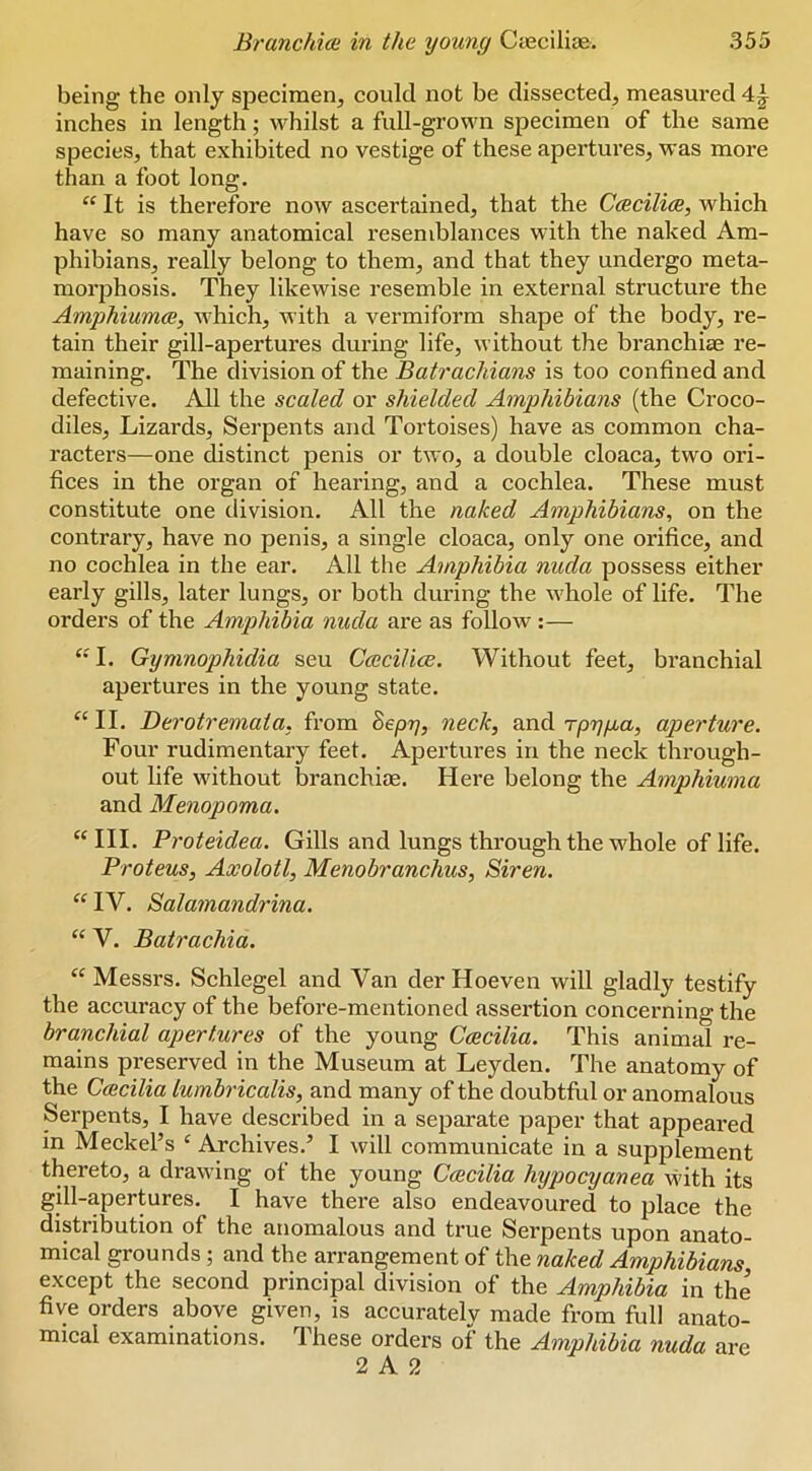 being the only specimen, could not be dissected, measured inches in length; whilst a full-grown specimen of the same species, that exhibited no vestige of these apertures, was more than a foot long. “ It is therefore now ascertained, that the Cmciliae, which have so many anatomical resemblances with the naked Am- phibians, really belong to them, and that they undergo meta- morphosis. They likewise resemble in external structure the Amphiumce, which, with a vermiform shape of the body, re- tain their gill-apertures during life, without the branchise re- maining. The division of the Batrachians is too confined and defective. All the scaled or shielded Amphibians (the Croco- diles, Lizards, Serpents and Tortoises) have as common cha- racters—one distinct penis or two, a double cloaca, two ori- fices in the organ of hearing, and a cochlea. These must constitute one division. All the naked Amphibians, on the contrary, have no penis, a single cloaca, only one orifice, and no cochlea in the ear. All the Amphibia nuda possess either early gills, later lungs, or both dui’ing the whole of life. The orders of the Amphibia nuda are as follow :— “ I. Gymnophidia seu Caicilice. Without feet, branchial apertures in the young state. “ II. Derotremata. from ^epy, neck, and rpyga, aperture. Four rudimentary feet. Apertures in the neck through- out life without branchiae. Here belong the Amphiuma and Menopoma. ‘‘III. Proteidea. Gills and lungs through the whole of life. Proteus, Axolotl, Menobranchus, Siren. “ IV. Salamandrina. “ V. Batrachia. “ Messrs. Schlegel and Van der Hoeven will gladly testify the accuracy of the before-mentioned assertion concerning the branchial apertures of the young Ccecilia. This animal re- mains preserved in the Museum at Leyden. The anatomy of the CcBcilia lumbricalis, and many of the doubtful or anomalous Serpents, I have described in a separate paper that appeared in Meckel’s ‘ Archives.’ I will communicate in a supplement thereto, a drawing of the young Ccecilia hypocyanea with its gill-apertures. I have there also endeavoured to place the distribution of the anomalous and true Serpents upon anato- mical grounds; and the arrangement of the naked Amphibians except the second principal division of the Amphibia in the five orders above given, is accurately made from full anato- mical examinations. These orders of the Amphibia nuda are