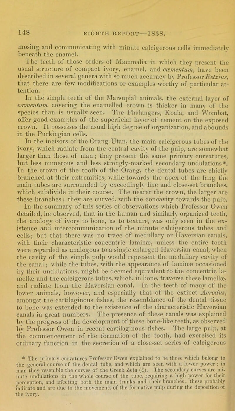 niosing and communicating with minute calcigcrous cells immediately beneath the enamel. 4 he teeth of those orders of Mammalia in which they present the usual structure of compact ivory, enamel, and cccmentum, have been described in several genera with so much accuracy by Professor/fetem.s, that there are few modifications or examples worthy of particular at- tention. In the simple teeth of the Marsupial animals, the external layer of ccamentum covering the enamelled crown is thicker in many of the species than is usually seen. The Phalangers, Koala, and Wombat, offer good examples of the superficial layer of cement on the exposeil crown. It possesses the usual high degree of organization, and abounds in the Purkingian cells. In the incisors of the Orang-Utan, the main calcigcrous tubes of the ivory, which radiate from the central cavity of the pulp, are somewhat larger than those of man; they present the same primary curvatures, but less numerous and less strongly-marked secondary undulations*. In the crown of the tooth of the Orang, the dental tubes are chiefly branched at their extremities, while towards the apex of the fang the main tubes are surrounded by exceedingly fine and close-set branches, which subdivide in their course. 'I'he nearer the crown, the larger are these branches; they are curved, with the concavity towards the pulp. In the summary of this series of observations which Professor Owen detailed, he observed, that in the human and similarly organized teeth, the analogy of ivory to bone, as to texture, was only seen in the ex- istence and intercommunication of the minute calcigcrous tubes and cells; but that there was no trace of medullary or Haversian canals, with their characteristic concentric laminae, unless the entire tooth wei’e regarded as analogous to a single enlarged Haversian canal, when the cavity of the simjile pulp would represent the medullary cavity of the canal; while the tubes, with the appearance of laminm occasioned by their undulations, might be deemed equivalent to the concentric la- mellae and the calcigcrous tubes, xvhich, in bone, traverse these lamellae, and radiate from the Haversian canal. In the teeth of many of the lower animals, however, and especially that of the extinct Acrcdits, amongst the cartilaginous fishes, the resemblance of the dental tissue to bone was extended to the existence of the characteristic Haversian canals in great numbers. The presence of these canals was explained by the progress of the development of these bone-like teeth, as observed by Professor Owen in recent cartilaginous fishes. The large pulp, at the commencement of the formation of the tooth, had exercised its ordinary function in the secretion of a close-set series of calcigcrous * The primary curvatures Professor Owen explained to he those which belong to the general course of the dental tube, and which are seen with a lower power; in man tlicy resemble the curves of the Greek Zeta (?). The secondary curves are mi- nute undulations in the whole course of the tube, requiring a high power for their ])erception, and allecting both the main trunks and tlicir branches; these i)robably indicate and arc due to the movements of the formative pulp during the deposition of the ivory.