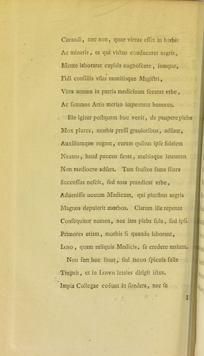 Curandi, nec non, quae virtus eflet in herbis Ac mineris, et qui viftus conduceret aegris, Mente laborarat cupida cognofcere , iamqne, Fidi confiliis vfus monitisque Magiftri, Vitra annum in patria medicinam fecerat vrbe, Ac fummos Artis merito impetrarat honores. Ille igitur poftquam huc venit, de paupere plebe Moxplures, morbis prefli grauioribus, adfunt. Auxiliumque rogant, curam quibus ipfe fidelem Nauans, haud paucos fanat, multisque leuamen Non mediocre adfert. Tam fauftos fama filere Succeffiis nefeit, fed tota praedicat vrbe, Aduenifle nouum Medicum, qui pluribus aegris Magnos depulerit morbos. Clarum ille repente Confequitur nomen, nec iam plebs fola, fed ipfi . Primores etiam, morbis (i quando laborant, Iano , quam reliquis Medicis, fe credere malunt. Non fert hoc liuor, fed faeuo fpicula felle Tiuguit, et in Ianv.m letales dirigit iftus. Impia Collegae coeunt in foedera, nec fe