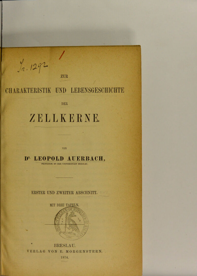 CHARAKTERISTIK UND LEBENSGESCHICHTE DER ZELLKERNE. VON D LEOPOLD AUEEBACH, PROFESSOR AN DER UNIVERSITAET BRESLAU. ERSTER UND ZWEITER ABSCHNITT. V BRESLAU. VON E. MORGENSTERN. . 1874.