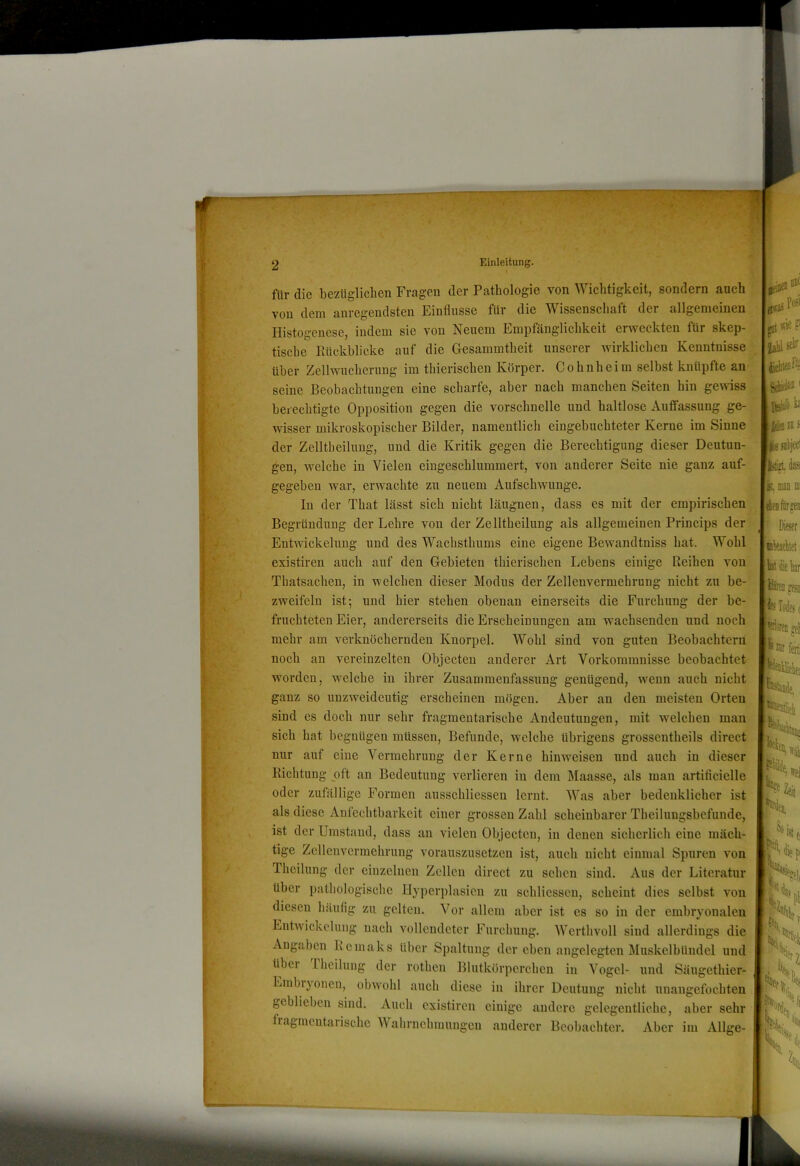 für die bezüglichen Fragen der Pathologie von Wichtigkeit, sondern auch von dem anregendsten Einflüsse für die Wissenschaft der allgemeinen Histogcnese, indem sie von Neuem Empfänglichkeit erweckten für skep- tische Eückblicke auf die Gesammtheit unserer wirklichen Kenntnisse über Zellwucherung im thierischen Körper. Cohnheim selbst knüpfte an seine Beobachtungen eine scharfe, aber nach manchen Seiten hin gewiss berechtigte Opposition gegen die vorschnelle und haltlose Auffassung ge- wisser mikroskopischer Bilder, namentlich eingebuchteter Kerne im Sinne der Zelltheilung, und die Kritik gegen die Berechtigung dieser Deutun- gen, welche in Vielen eingeschlummert, von anderer Seite nie ganz auf- gegeben war, erwachte zu neuem Aufschwünge. ln der That lässt sich nicht läugnen, dass es mit der empirischen Begründung der Lehre von der Zelltheilung als allgemeinen Princips der Entwickelung und des Wachsthums eine eigene Bewandtniss hat. Wohl existiren auch auf den Gebieten thierischen Lebens einige Reihen von Thatsachen, in welchen dieser Modus der Zellenvermehrung nicht zu be- zweifeln ist; und hier stehen obenan einerseits die Furchung der be- fruchteten Eier, andererseits die Erscheinungen am wachsenden und noch mehr am verknöchernden Knorpel. Wohl sind von guten Beobachtern noch an vereinzelten Objecten anderer Art Vorkommnisse beobachtet worden, welche in ihrer Zusammenfassung genügend, wenn auch nicht ganz so unzweideutig erscheinen mögen. Aber an den meisten Orten sind es doch nur sehr fragmentarische Andeutungen, mit welchen man sich hat begnügen müssen, Befunde, welche übrigens grossentheils direct nur auf eine Vermehrung der Kerne hinweisen und auch in dieser Richtung oft an Bedeutung verlieren in dem Maasse, als man artificielle oder zufällige Formen ausschliessen lernt. Was aber bedenklicher ist als diese Anfechtbarkeit einer grossen Zahl scheinbarer Theilungsbefunde, ist der Umstand, dass an vielen Objecten, in denen sicherlich eine mäch- tige Zcllcnvermehrung vorauszusetzen ist, auch nicht einmal Spuren von Theilung der einzelnen Zellen direct zu sehen sind. Aus der Literatur über pathologische Hyperplasien zu schliessen, scheint dies selbst von diesen häufig zu gelten. Vor allem aber ist es so in der embryonalen Entwickelung nach vollendeter Furchung. Werthvoll sind allerdings die Angaben Remaks über Spaltung der eben angelegten Muskelbündel und übei llieilung der rothen Blutkörperchen in Vogel- und Säugethier- Lmbiyonen, obwohl auch diese in ihrer Deutung nicht unangefochten geblieben sind. Auch existiren einige andere gelegentliche, aber sehr tragmcutarische Wahrnehmungen anderer Beobachter. Aber im Allge- jSdwiia' ifeziis dis K. naii Dl (ieofDijeD Di{«r lükjtlitet; te jegi Todes ( (triorej gel ferti icDei tiode, S«i UeJ kl f'i ’da.« th,| «9.