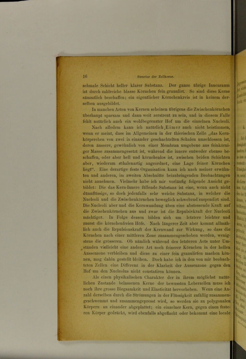 schmale Schicht heller klarer Substanz. Der ganze übrige Innenraum ist durch zahlreiche blasse Körnchen fein granulirt. So sind diese Kerne sämmtlich beschaffen; ein eigentlicher Kürnchenkreis ist in keinem der- : selben ausgebildet. In manchen Arten von Kernen scheinen übrigens die Zwischenkörnchen ii überhaupt sparsam und dann weit zerstreut zu sein, und in diesem Falle fehlt natürlich auch ein wohlbegrenzter Hof um die einzelnen Nucleoli. •.£ Nach alledem kann ich natürlich,Eimer auch nicht beistimmen, wenn er meint, dass im Allgemeinen in der thierischen Zelle „das Kern- körperchen von zwei in einander geschachtelten Schalen umschlossen ist, deren äussere, gewöhnlich von einer Membran umgebene aus feinkörni- ger Masse zusammengesetzt ist, während die innere entweder ebenso be- schaffen, oder aber hell und körnchenlos ist, zwischen beiden Schichten aber, wiederum sübalenartig angeordnet, eine Lage feiner Körnchen^ liegt“. Eine derartige feste Organisation kann ich nach meiner erwähn-.^ ten und anderen, im zweiten Abschnitte beizubringenden Beobachtungen nicht annehmen. Vielmehr habe ich mir vorläufig folgende Ansicht ge- bildet: Die das Kern-Innere füllende Substanz ist eine, wenn auch nicht dünnflüssige, so doch jedenfalls sehr weiche Substanz, in welcher die Nucleoli und die Zwischenkörnchen beweglich schwebend suspendirt sind. Die Nucleoli aber und die Kernwandung üben eine abstosscnde Kraft auf die Zwischenkörnchen aus und zwar ist die Repulsivkraft der Nucleoli mächtiger. In Folge dessen bilden sich um letztere leichter und- zuerst die körnchenfreien Höfe. Nach längerer Zeit aber kommt allmäl lieh auch die Repulsionskraft der Kernwand zur Wirkung, so dass die“ Körnchen nach einer mittleren Zone zusammengeschoben werden, Avenig-g stens die grösseren. Ob nämlich während des letzteren Acts unter Um-” ständen vielleicht eine andere Art noch feinerer Körnchen in der hellen Aussenzone verbleiben und diese zu einer fein granulirten machen kön-, nen, mag dahin gestellt bleiben. Doch habe ich in den von mir beobach-i] teten Zellen eine Differenz in der Klarheit der Aussenzone gegen den;^ Hof um den Nuclcolus nicht constatiren können. ! • 0 Als einen physikalischen Charakter der in ihrem möglichst natür- lichen Zustande belassenen Kerne der bewussten Leberzcllen muss ich noch ihre grosse Biegsamkeit und Elasticität hervorheben. Wenn eine An-' jsofemS zahl derselben durch die Strömungen in der Flüssigkeit zufällig zusammen- geschwemmt und zusammengepresst wird, so Averden sie zu polygonalen Körpern an einander abgeplattet; ein einzelner Kern, gegen einen feste- ren Körper gedrückt, Avird ebenfalls abgeflacht oder bekommt eine locale .5h,