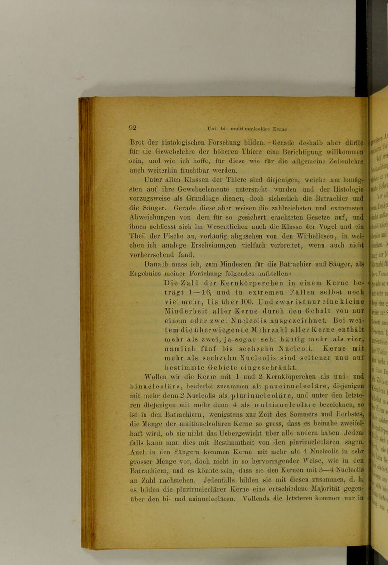 Brot der liistologiscben Forschung bilden.-Gerade deshalb aber dürfte; für die Gewebelehre der höheren Thiere eine Berichtigung willkomraeu sein, und wie ich hoffe, für diese wie für die allgemeine Zellenlehre auch weiterhin fruchtbar werden. Unter allen Klassen der Thiere sind diejenigen, welche am häufig- sten auf ihre Gewebselemente untersucht wurden und der Histologie vorzugsweise als Grundlage dienen, doch sicherlich die Batrachier und die Säuger, Gerade diese aber Aveisen die zahlreichsten und extremsten Abweichungen von dem für so gesichert erachteten Gesetze auf, und ihnen schliesst sich im Wesentlichen auch die Klasse der Vögel und ein Theil der Fische an, vorläufig abgesehen von den Wirbellosen, in wel- chen ich analoge Erscbeiuungen vielfach verbreitet, Avenn auch nicht vorherrschend fand. Danach muss ich, zum Mindesten für die Batrachier und Säuger, als Ergebniss meiner Forschung folgendes aufstellen: Die Zahl der Kernkörperchen in einem Kerne be- trägt 1 —16, und in extremen Fällen selbst noch • viel mehr, his über 100. Und zwar ist nur eine kleine Minderheit aller Kerne durch den Gehalt von nur einem oder zwei Nucleolis ausgezeichnet. Bei wei-^ tem die überwiegende Mehrzahl aller Kerne enthält^ ibn leb'ff' Vor all' ifüi ieoliaW ffjOkD. II b; der mehr als zwei, ja sogar sehr häufig mehr als vier, te Terme |erade so v II! setir zai h eine p rreis iiir S |e?etr nzi ;eii b ier Fische feuBeha nämlich fünf bis sechzehn Nucleoli. Kerne mit mehr als sechzehn Nucleolis sind seltener und auf bestimmte Gebiete eingeschränkt. Wollen wir die Kerne mit 1 und 2 Kernkörperchen als uni- und binucleoläre, beiderlei zusammen als pauciuucleoläre, diejenigen'j mit mehr denn 2 Nucleolis als plurinucleoläre, und unter den letzte- ren diejenigen mit mehr denn 4 als multinucleoläre bezeichnen, so'' ist in den Batrachiern, wenigstens zur Zeit des Sommers und Herbstes, die Menge der multinucleoläreu Kerne so gross, dass es beinahe zAA'eifel- haft AAÜrd, ob sie nicht das Uebei'geAAÜcht über alle andern haben. Jeden falls kann man dies mit Bestimmtheit von den pluriiuicleoläreu sagen, j Auch in den Säugern kommen Kerne mit mehr als 4 Nucleolis in sehr j grosser Menge vor, doch nicht in so her\'orragcnder Weise, AAÜe in den Batrachiern, und es könnte sein, dass sie den Kernen mit 3—4 Nucleolis^ an Zahl uachstehen. Jedenfalls bilden sie mit diesen zusammen, d. h. es bilden die plurinucleolären Kerne eine entschiedene Majorität gegen- über den bi- und uniuucleoläreu. Vollends die letzteren kommen nur in '■k litfi »öc '«ni ällS
