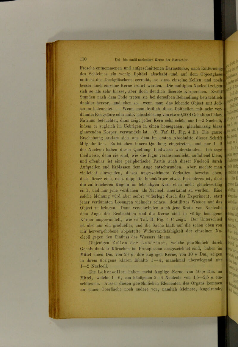 ‘i'4'ä! 110 Uni- bis ranlti-nucleoläre Kerne der Batrachier. Frosche entnoramcnen und aufgesclinittenen Darmstücke, nach Entfernung; des Schleimes ein wenig Epitliel abschaht und auf dem Objectglase mittelst des Deckgläschens zerreibt, so dass einzelne Zellen und noch besser auch einzelne Kerne isolirt werden. Die multiplen Nucleoli zeigen sich so als sehr blasse, aber doch deutlich discrete Körperchen, Zwölftl Stunden nach dem Tode treten sie hei derselben Behandlung beträchtlichi dunkler hervor, und eben so, wenn man das lebende Object mit Jod- serum befeuchtet. — Wenn man freilich diese Epithelien mit sehr ver- dünnter Essigsäure oder mitKochsalzlösung von etwa0,0001 Gehalt an Chlor- I Natrium befeuchtet, dann zeigt jeder Kern sehr schön nur 1—2 Nucleoli,,] indem er zugleich im Uebrigen in einen homogenen, gleichmässig blass glänzenden Körper verwandelt ist. (S. Taf. II, Fig, 4 B.) Die ganze;] Erscheinung erklärt sich aus dem im ersten Abschnitte dieser Schrift Mitgetheilten. Es ist eben innere Quellung eingetreten, und nur 1—2 der Nucleoli haben dieser Quellung theilweise widerstanden. Ich sage theilweise, denn sie sind, wie die Figur veranschaulicht, auffallend klein, und offenbar ist eine peripherische Partie auch dieser Nucleoli durch Aufquellen und Erblassen dem Auge entschwunden. Aber, möchte man vielleicht einwenden, dieses ausgezeichnete Verhalten beweist eben, dass dieser eine, resp. doppelte Innenkörper etwas Besonderes ist, dass die zahlreicheren Kugeln im lebendigen Kern eben nicht gleichwerthig I rctll t Dötirte kera«' DasPe sind, und nur jene verdienen als Nucleoli anerkannt zu werden. Eine Das Ml saaiH Eil »leMei, I solche Meinung wird aber sofort widerlegt durch das Experiment, statt jener verdünnten Lösungen vielmehr reines, destillirtes Wasser auf das Object zu bringen. Dann verschwinden auch jene Reste von Nucleolis dem Auge des Beobachters und die Kerne sind in völlig homogene Körper umgewandelt, wie es Taf. II, Fig. 4 C zeigt. Der Unterschied;! ist also nur ein gradueller, und die Sache läuft auf die schon oben von naiis liel »«He lU; mir hervorgehobene abgestufte Widerstandsfähigkeit der einzelnen Nu- cleoli gegen den Einfluss des Wassers hinaus. Diejenigen Zellen der Labdrüsen, welche gewöhnlich durch- Gehalt dunkler Körnchen im Protoplasma ausgezeichnet sind, haben im Mittel einen Dm. von 23 /f, ihre kugligen Kerne, von 10 /t Dm., zeigen in ihrem übrigens 1 klaren Inhalte 1—4, manchmal überwiegend nur 2 Nucleoli. | Die Leb er zellen haben meist kuglige Kerne von 10 ,u Dm. im’ Mittel, welche 1—G, am häufigsten 2-4 Nucleoli vou 1,5—2,5 eiu- schliessen. Ausser diesen gewöhnlichen Elementen des Organs kommen^ an seiner Oberfläche noch andere vor, nämlich kleinere, kugelrunde,.