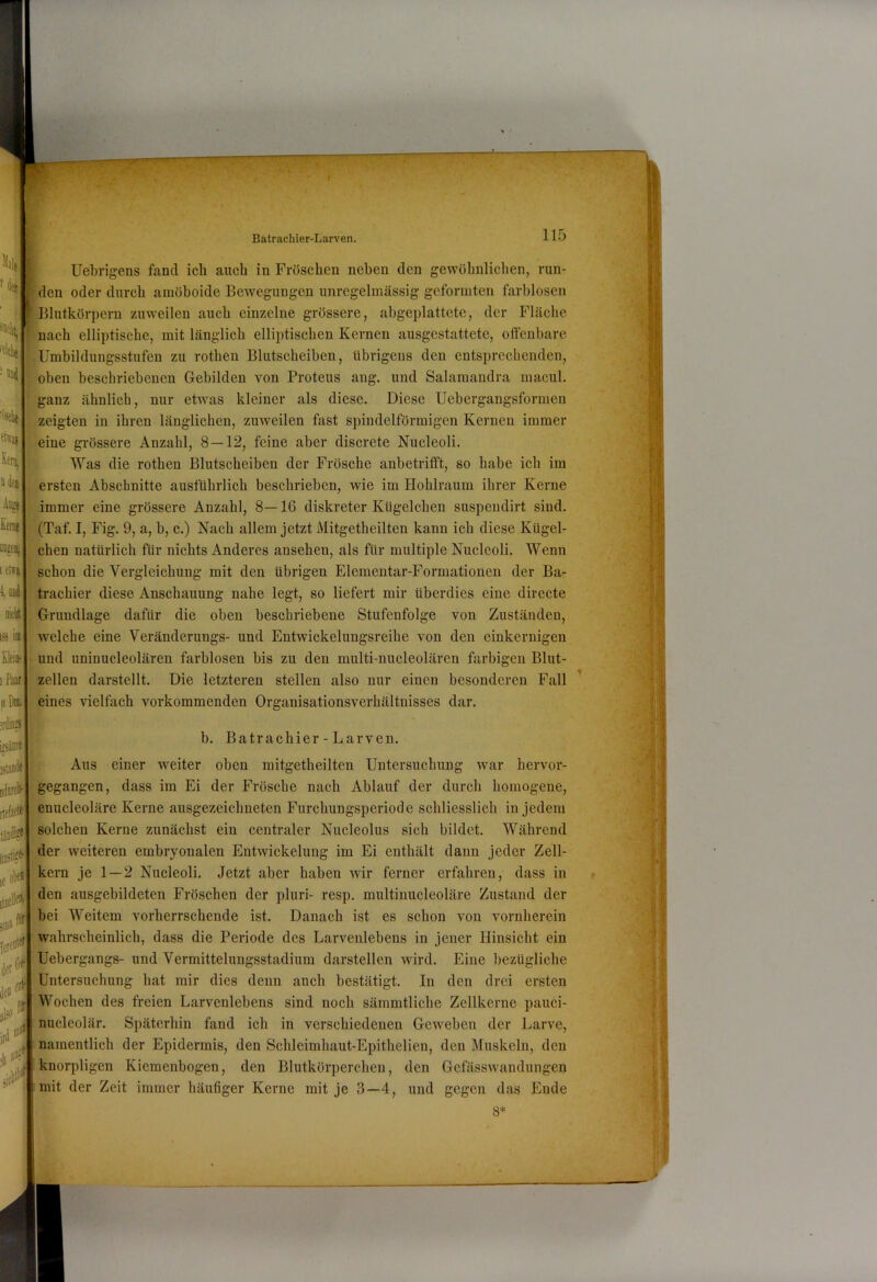 Batrachler-Larven. ’ ilei !Oüd %lie fhtai Üeri^ adea Anja Kerne iiDgeiij letfi Aid nitlit io Kleii- iPaar II Du. irdiaS ifsäite Uebrigens fand ich auch in Fröschen neben den gewöhnlichen, run- den oder durch amöboide Bewegungen unregelmässig geformten farblosen Blutkörpern zuweilen auch einzelne grössere, abgeplattete, der Fläche nach elliptische, mit länglich elliptischen Kernen ausgestattete, offenbare Umbildungsstufen zu rothen Blutscheiben, übrigens den entsprechenden, oben beschriebenen Gebilden von Proteus ang. und Salamandra macul. ganz ähnlich, nur etwas kleiner als diese. Diese Uebergangsformen zeigten in ihren länglichen, zuweilen fast spindelförmigen Kernen immer 'feine gi-össere Anzahl, 8 — 12, feine aber discrete Nucleoli. Was die rothen Blutscheiben der Frösche anbetrifift, so habe ich im ersten Abschnitte ausführlich beschrieben, wie im Hohlraum ihrer Kerne immer eine grössere Anzahl, 8—16 diskreter Kügelchen suspendirt sind. (Taf. I, Fig. 9, a, b, c.) Nach allem jetzt Mitgetheilten kann ich diese Kügel- chen natürlich für nichts Anderes ansehen, als für multiple Nucleoli. Wenn schon die Vergleichung mit den übrigen Elementar-Formationen der Ba- trachier diese Anschauung nahe legt, so liefert mir überdies eine directe Grundlage dafür die oben beschriebene Stufenfolge von Zuständen, welche eine Veränderungs- und Entwickelungsreihe von den einkernigen und uninucleolären farblosen bis zu den multi-nucleolären farbigen Blut- zellen darstellt. Die letzteren stellen also nur einen besonderen Fall eines vielfach vorkommenden Organisationsverhältiiisses dar. b. Batrachier - Larven. ist! mlorcli- rtefatt^ le itiellfi ferfö' der den Aus einer weiter oben mitgetheilten Untersuchung war hervor- gegangen, dass im Ei der Frösche nach Ablauf der durch homogene, enucleoläre Kerne ausgezeichneten Furchungsperiode schliesslich in jedem solchen Kerne zunächst ein centraler Nucleolus sich bildet. Während der weiteren embryonalen Entwickelung im Ei enthält daun jeder Zell- kern je 1—2 Nucleoli. Jetzt aber haben wir ferner erfahren, dass in den ausgebildeten Fröschen der pluri- resp. multinucleoläre Zustand der bei Weitem vorherrschende ist. Danach ist es schon von vornherein i-^ahrscheinlich, dass die Periode des Larvenlebens in jener Hinsicht ein ''Uebergangs- und Vermittelungsstadium darstellen wird. Eine bezügliche Untersuchung hat mir dies denn anch bestätigt. In den drei ersten Wochen des freien Larvenlebens sind noch sämmtliche Zellkerne pauci- nucleolär. Späterhin fand ich in verschiedenen Geweben der Larve, namentlicb der Epidermis, den Schleimhaut-Epithelien, den Muskeln, den knorpligen Kieraenbogen, den Blutkörperchen, den Gefässwandungen \ mit der Zeit immer häufiger Kerne mit je 3—4, und gegen das Ende ilW it(# 8*