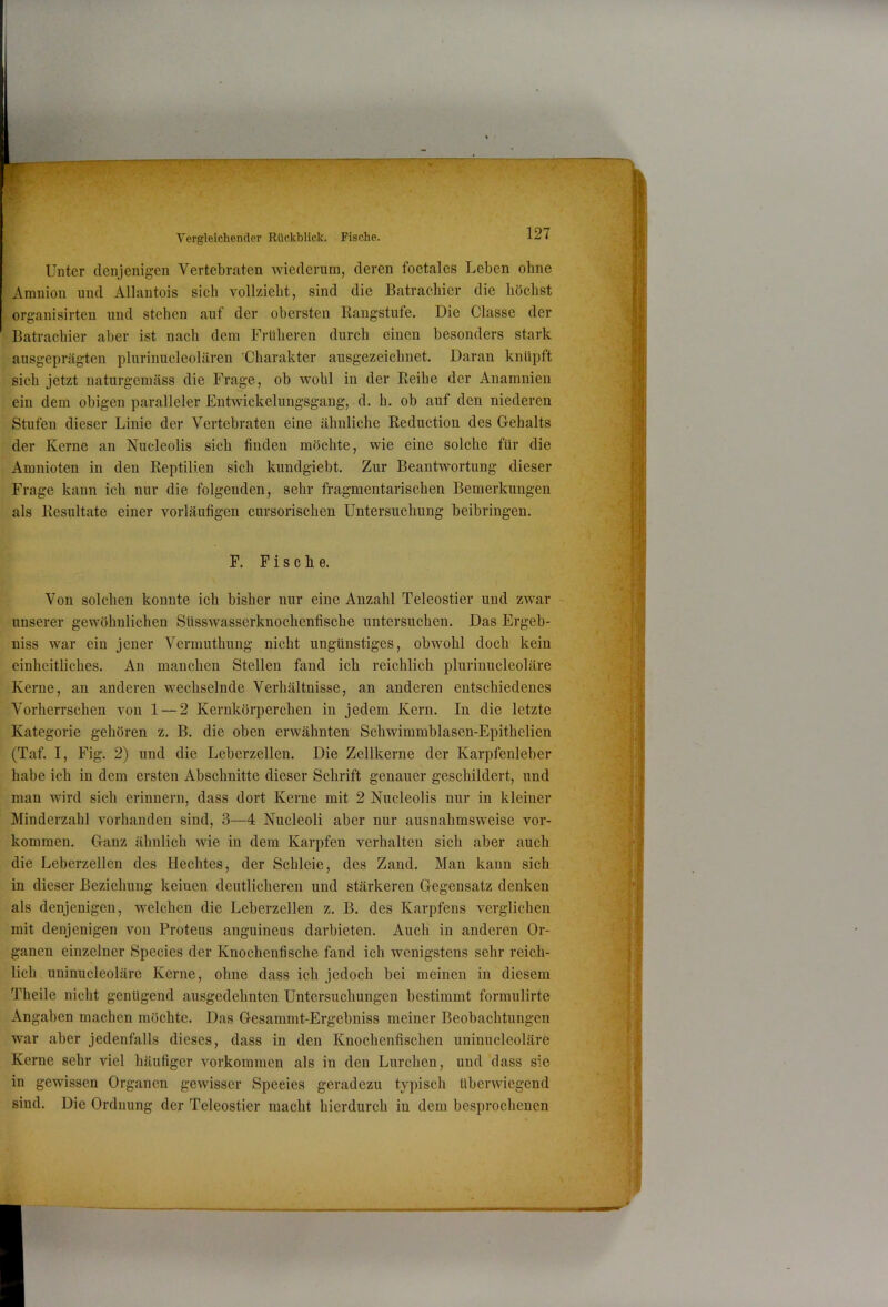 MW ■ Vergleichender Rückblick. Fische. • Unter denjenigen Vertebraten wiederum, deren foetales Leben ohne Amnion und Allantois sich vollzieht, sind die Batrachier die höchst organisirten und stehen auf der obersten Rangstufe. Die Classe der Batrachier aber ist nach dem Früheren durch einen besonders stark ausgeprägten plurinucleolären Charakter ausgezeichnet. Daran knüpft sich jetzt naturgemäss die Frage, ob wohl in der Reihe der Anamnien ein dem obigen paralleler Entwickelungsgang, d. h. ob auf den niederen Stufen dieser Linie der Vertebraten eine ähnliche Reduction des Gehalts der Kerne an Nucleolis sich finden möchte, wie eine solche für die Amnioten in den Reptilien sich kundgiebt. Zur Beantwortung dieser Frage kann ich nur die folgenden, sehr fragmentarischen Bemerkungen als Resultate einer vorläufigen cursorischen Untersuchung beibringen. F. F i s c li e. Von solchen konnte ich bisher nur eine Anzahl Teleostier und zwar unserer gewöhnlichen Süsswasserknochenfische untersuchen. Das Ergeb- niss war ein jener Vermuthung nicht ungünstiges, obwohl doch kein einheitliches. An manchen Stellen fand ich reichlich plurinucleoläre Kerne, an anderen wechselnde Verhältnisse, an anderen entschiedenes Vorherrschen von 1 — 2 Kerukörperchen in jedem Kern. In die letzte Kategorie gehören z. B. die oben erwähnten Schwimmblasen-Epithelien (Taf. I, Fig. 2) und die Leberzellen. Die Zellkerne der Karpfenleber habe ich in dem ersten Abschnitte dieser Schrift genauer geschildert, und man wird sich erinnern, dass dort Kerne mit 2 Nucleolis nur in kleiner Minderzahl vorhanden sind, 3—4 Nucleoli aber nur ausnahmsweise ver- kommen. Ganz ähnlich wie in dem Karpfen verhalten sich aber auch die Leberzellen des Hechtes, der Schleie, des Zand. Man kann sich in dieser Beziehung keinen deutlicheren und stärkeren Gegensatz denken als denjenigen, welchen die Leberzellen z. B. des Karpfens verglichen mit deujenigen von Proteus anguineus darbieten. Auch in anderen Or- ganen einzelner Species der Knochenfische fand ich wenigstens sehr reich- lich uninucleoläre Kerne, ohne dass ich jedoch bei meinen in diesem Theile nicht genügend ausgedehnten Untersuchungen bestimmt formulirte Angaben machen möchte. Das Gesammt-Ergebniss meiner Beobachtungen war aber jedenfalls dieses, dass in den Knochenfischen uninucleoläre Kerne sehr viel häufiger verkommen als in den Lurchen, und dass sie in gewissen Organen gewisser Species geradezu typisch überwiegend sind. Die Ordnung der Teleostier macht hierdurch in dem besprochenen