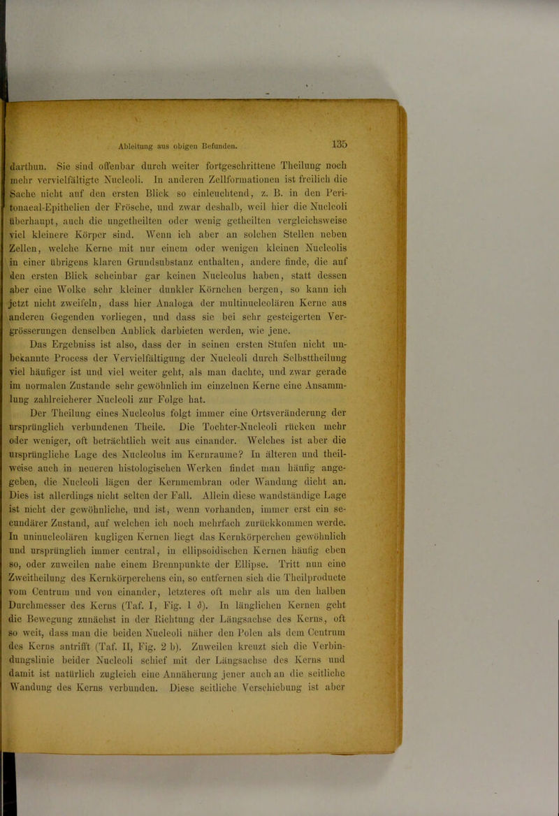 * • Ableitung aus obigen Befunden. 135 diirtlnui. Sie siucl offenbar durch weiter fortgeschrittene Theilung noch mehr vervielfältigte Xucleoli. In anderen Zellfonuationen ist freilich die Sache nicht auf den ersten Blick so einleuchtend, z. B. in den Peri- tonaeal-Epithelien der Frösche, und zwar deshalb, weil hier die Nucleoli überhaupt, auch die ungetheilten oder wenig getheilten vergleichsweise viel kleinere Körper sind. 'Wenn ich aber an solchen Stellen neben Zellen, welche Kerne mit nur einem oder wenigen kleinen Nucleolis in einer übrigens klaren Grundsubstanz enthalten, andere finde, die auf den ersten Blick scheinbar gar keinen Nucleolus haben, statt dessen aber eine Wolke sehr kleiner dunkler Körnchen bergen, so kann ich jetzt nicht zweifeln, dass hier Analoga der multinucleoläreu Kerne aus anderen Gegenden vorliegen, und dass sie bei sehr gesteigerten Ver- grösserungen denselben Anblick darbieten werden, wie jene. Das Ergebniss ist also, dass der in seinen ersten Stufen nicht un- bekannte Process der Vervielfältigung der Nucleoli durch Selbsttheilung viel häufiger ist und viel weiter geht, als man dachte, und zwar gerade im normalen Zustande sehr gewöhnlich im einzelnen Kerne eine Ansamm- lung zahlreicherer Nucleoli zur Folge hat. Der Theilung eines Nucleolus folgt immer eine Ortsveränderung der ursprünglich verbundenen Theile. Die Tochter-Nucleoli rücken mehr oder weniger, oft beträchtlich weit aus einander. Welches ist aber die ursprüngliche Lage des Nucleolus im Keruraume? In älteren und theil- weise auch in neueren histologischen Werken findet man häufig ange- geben, die Nucleoli lägen der Kernmembran oder Wandung dicht an. Dies ist allerdings nicht selten der Fall. Allein diese Avandstäudige Lage ist nicht der gewöhnliche, und ist, Aveun vorhanden, immer erst ein se- cundärer Zustand, auf welchen ich noch mehrfach zurückkommen Averde. In uniuucleolären kugligen Kernen liegt das Kernkörperchen geAVöhnlich und ursprünglich immer central, in ellipsoidischen Kernen häufig eben so, oder zuweilen nahe einem Brennpunkte der Ellipse. Tritt nun eine ZAveitheilung des Kernkörperchens ein, so entfernen sich die Theilproducte vom Centrum und von einander, letzteres oft mehr als um den halben Durchmesser des Kerns (Taf. I, Fig. 1 d). In länglichen Kernen geht die BeAvegung zunächst in der Richtung der Ijängsachse des Kerns, oft so Aveit, dass man die beiden Nucleoli näher den Polen als dem Centrum des Kerns antrift't (Taf. II, Fig. 2 b). ZuAveilcn kreuzt sich die Verbin- dungslinie beider Nucleoli schief mit der Längsachse des Kerns und damit ist natürlich zugleich eine Annäherung jener auch au die seitliche Wandung des Kerns verbuudeu. Diese seitliche Verschiebung ist aber