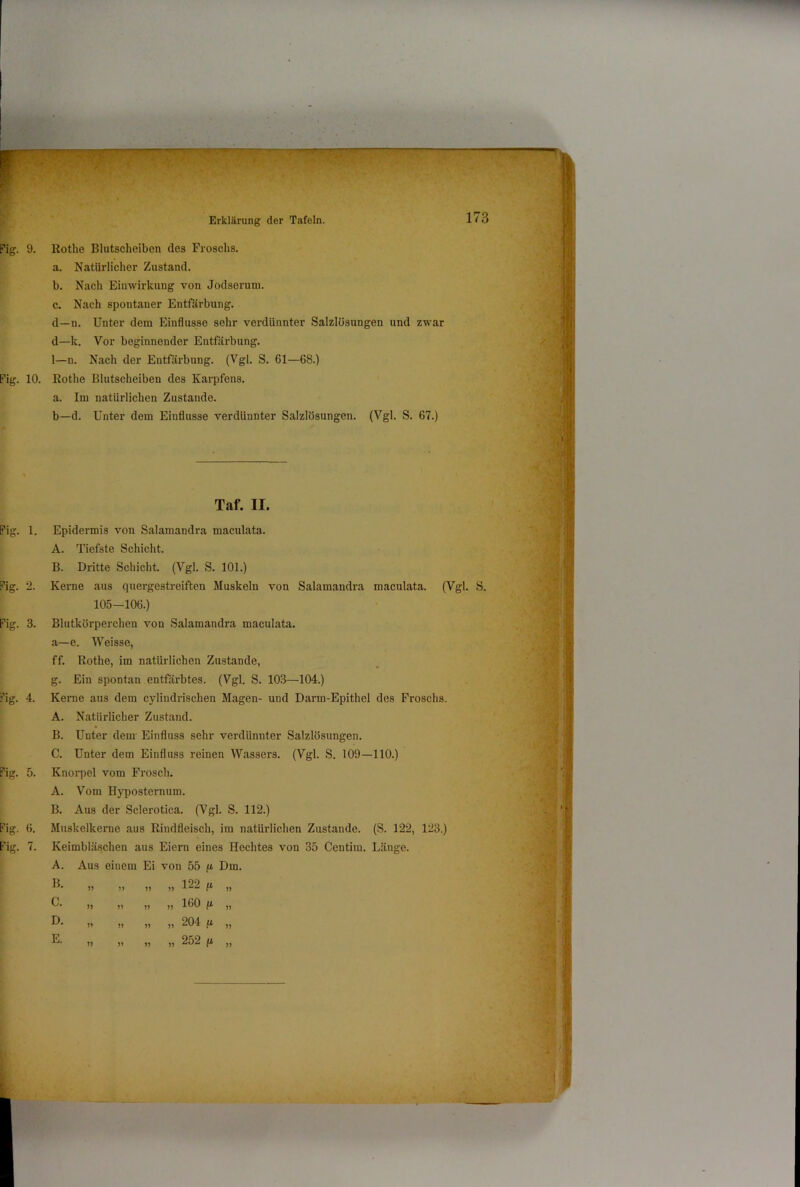 Fig. 9. Kothe Blutscheiben des Froschs. a. Natürlicher Zustand. b. Nach Einwirkung von Jodsoruni. c. Nach spontaner Entfärbung. d—n. Unter dem Einflüsse sehr verdünnter Salzlösungen und zwar d—k. Vor beginnender Entfärbung. 1—n. Nach der Entfärbung. (Vgl. S. 61—68.) Fig. 10. Kothe Blutscheiben des Karpfens, a. Im natürlichen Zustande. b—d. Unter dem Einflüsse verdünnter Salzlösungen. (Vgl. S. 67.) Fig. 1. Fig. 2. Fig. 3. Fig. 4. Fig. 5. Fig. 6. Fig. 7. Taf. II. Epidermis von Salamandra maculata. A. Tiefste Schicht. B. Dritte Schicht. (Vgl. S. 101.) Kerne aus quergestreiften Muskeln von Salamandra maculata. (Vgl. S. 105-106.) Blutkörperchen von Salamandi’a maculata. a—e. Weisse, ff. Rothe, im natürlichen Zustande, g. Ein spontan entfärbtes. (Vgl. S. 103—104.) Kerne aus dem cylindrischen Magen- und Darm-Epithel des Froschs. A. Natürlicher Zustand. B. Unter dem- Einfluss sehr verdünnter Salzlösungen. C. Unter dem Einfluss reinen Wassers. (Vgl. S. 109—110.) Knorpel vom Frosch. A. Vom Hyposternum. B. Aus der Sclerotica. (Vgl. S. 112.) Muskelkerne aus Rindfleisch, im natürlichen Zustande. (S. 122, 123.) Keimbläschen aus Eiern eines Hechtes von 35 Centim. Länge. M ■II A. Aus einem Ei von 55 Dm. B. j) ?> „ 122 ft ?> i C. )) „ 160 ft )> Ti D. „ 204 ft E. j) V „ 252 ft ' /X; ’ c “ >1 ! }'-ä V