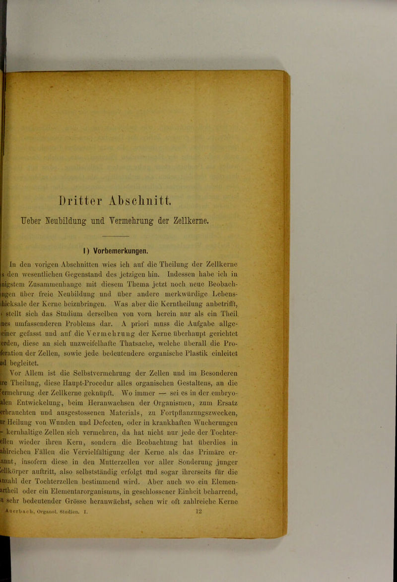 Dritter Absclinitt. Ueber Ifeubildung und Yermebrung der Zellkerne. I) Vorbemerkungen. In den vorigen Abschnitten wies ich auf die Theilimg der Zellkerne 3 den wesentlichen Gegenstand des jetzigen hin. Indessen habe ich in nigstem Zusammenhänge mit diesem Thema jetzt noch neue Beobach- iigen Uber freie Neubildung und Uber andere merkwürdige Lebens- bicksale der Kerne beizubringen. Was aber die Kerntheilung anbetrifft, I stellt sich das Studium derselben von vorn herein nur als ein Theil nes umfassenderen Problems dar. A priori muss die Aufgabe allge- eiiier gefasst und auf die Vermehrung der Kerne überhaupt gerichtet erden, diese au sich unzweifelhafte Thatsache, welche Überall die Pro- feration der Zellen, sowie jede bedeutendere organische Plastik eiuleitet nd begleitet. Vor Allem ist die Selbstvermehrung der Zellen und im Besonderen ire Theilung, diese Haupt-Procedur alles organischen Gestaltens, an die Vermehrung der Zellkerne geknüpft. Wo immer — sei es in der embryo- alen Entwickelung, beim Herauwachseu der Organismen, zum Ersatz erbrauchten und ausgestossenen Materials, zu Fortpffauzungszweeken, nr Heilung von Wunden und Defecten, oder in krankhaften Wucherungen - kernhaltige Zellen sich vermehren, da hat nicht nur jede der Tochter- ellen wieder ihren Kern, sondern die Beobachtung hat überdies in aldreichen Fällen die Vervielfältigung der Kerne als das Primäre er- annt, insofern diese in den Mutterzellen vor aller Sonderung junger «ellkörper auftritt, also selbstständig erfolgt iTud sogar ihrerseits für die Anzahl der Tochterzellen bestimmend wird. Aber auch wo ein Elemen- artheil oder ein Elementarorganismus, in geschlossener Einheit beharrend, u sehr bedeutender Grösse herauwächst, sehen wir oft zahlreiche Kerne Auerbach, Organol. Studien. I. 12