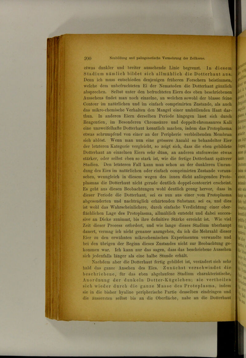 iri ■ei-i ’ piw« itkn'er 115 fol?‘ «Sei ? iiMif' -Dollen tu si Rkitzt, a? etwas dunkler und breiter aussehende Linie begrenzt. In diesem- Stadium nämlich bildet sich allmählich die Dotterhaut aus. Denn ich muss entschieden denjenigen früheren Forschern beistimmen, welche dem unbefruchteten Ei der Nematoden die Dotterhaut gänzlicbuj absprechen. Selbst unter den befruchteten Eiern des eben beschriebenen Aussehens findet man noch einzelne, an welchen sowohl der blasse feine Contour im natürlichen und im einfach comprimirten Zustande, als auch “ das mikro-chemische Verhalten den Mangel einer umhüllenden Haut dar- thun. In anderen Eiern derselben Periode hingegen lässt sich durch ' Reagentien, im Besonderen Chromsäure und doppelt-chromsaures KaliV eine unzweifelhafte Dotterhaut kenntlich machen, indem das Protoplasma etwas schrumpfend von einer an der Peripherie verbleibenden Membran sich ablöst. Wenn man nun eine grössere Anzahl so behandelter Eier der letzteren Kategorie vergleicht, so zeigt sich, dass die eben gebildete Dotterhaut an einzelnen Eiern sehr dünn, an anderen stufenweise etwas stärker, oder selbst eben so stark ist, wie die fertige Dotterhaut späterer Stadien. Den letzteren Fall kann man schon an der dunkleren Umran- dung des Eies im natürlichen oder einfach comprimirten Zustande voraus- - sehen, wenngleich in diesem wegen des innen dicht anliegenden Proto- plasmas die Dotterhaut nicht gerade deutlich doppel-contourirt erscheint. Es geht aus diesen Beobachtungen wohl deutlich genug hervor, dass in dieser Periode die Dotterhaut, sei es nun aus einer vom Protoplasma abgesonderten und nachträglich erhärtenden Substanz, sei es, und dies ist wohl das Wahrscheinlichere, durch einfache Verdichtung einer ober-fj flächlichen Lage des Protoplasma, allmählich entsteht und dabei succes-y sive an Dicke zunimmt, bis ihre definitive Stärke erreicht ist. Wie viel^ Zeit dieser Process erfordert, und wie lange dieses Stadium überhaupt ij dauert, vermag ich nicht genauer anzugeben, da ich die Mehrzahl dieser t Eier zu den erwähnten mikrochemischen Experimenten verwandte und bei den übrigen der Beginn dieses Zustandes nicht zur Beobachtung ge-^ kommen war. Ich kann nur das sagen, dass das beschriebene Aussehen H sich jedenfalls länger als eine halbe Stunde erhält. '■£ Nachdem aber die Dotterhaut fertig gebildet ist, verändert sich sehr^ bald das ganze Ansehen des Eies. Zunächst verschwindet die beschriebene, für das eben abgelaufene Stadium charakteristische, Anordnung der dunkeln Dotter-Kügelchen; sie vertheilen sicli wieder durch die ganze Masse des Protoplasma, indem sie in die bisher hyaline peripherische Partie desselben eindringen und die äussersten selbst bis an die Oberfläche, nahe an die Dotterhaut «h sclii m ifb; imii ibelbei I; ÄD «aler leiei He k