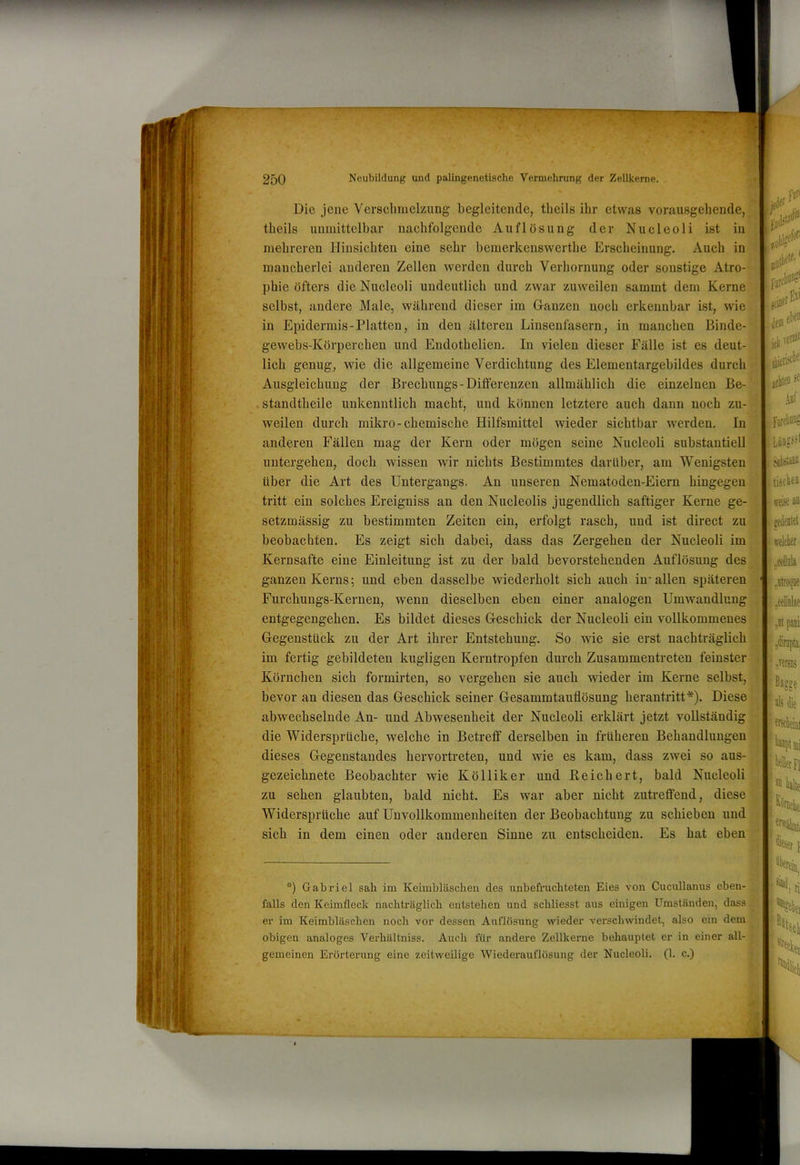 theils unmittelbar nachfolgende Auflösung der Nucleoli ist in j mehreren Hinsichten eine sehr bemerkenswerthe Erscheinung. Auch in • mancherlei anderen Zellen werden durch Verhornung oder sonstige Atro-- phie öfters die Nucleoli undeutlich und zwar zuweilen sammt dem Kerne selbst, andere Male, während dieser im G-anzen noch erkennbar ist, wie in Epidermis-Platten, in den älteren Linsenfasern, in manchen Binde- gewebs-Körperchen und Endothelien. In vielen dieser Fälle ist es deut-_ lieh genug, wie die allgemeine Verdichtung des Elementargebildes durch Ausgleichung der Brechungs - Differenzen allmählich die einzelnen Be-‘ • standtheile unkenntlich macht, und können letztere auch dann noch zu-„ weilen durch mikro - chemisclie Hilfsmittel wieder sichtbar werden. In anderen Fällen mag der Kern oder mögen seine Nucleoli substantiell untergeben, doch wissen wir nichts Bestimmtes darüber, am Wenigsten. j über die Art des Untergangs. An unseren Nematoden-Eiern hingegen tritt ein solches Ereigniss an den Nucleolis jugendlich saftiger Kerne ge- setzmässig zu bestimmten Zeiten ein, erfolgt rasch, und ist direct zu . beobachten. Es zeigt sich dabei, dass das Zergehen der Nucleoli im Kernsafte eine Einleitung ist zu der bald bevorstehenden Auflösung des ; ganzen Kerns; und eben dasselbe wiederholt sich auch in-allen späteren ' Furchungs-Kernen, wenn dieselben eben einer analogen Umwandlung Körnchen sich formirten, so vergehen sie auch wieder im Kerne selbst. abwechselnde An- und Abwesenheit der Nucleoli erklärt jetzt vollständig die Widersprüche, welche in Betreff derselben in früheren Behandlungen dieses Gegenstandes hervortreten, und wie es kam, dass zwei so aus- gezeichnete Beobachter wie Kölliker und Reichert, bald Nucleoli zu sehen glaubten, bald nicht. Es war aber nicht zutreffend, diese Widersprüche auf Unvollkommenheiten der Beobachtung zu schieben und sich in dem einen oder anderen Sinne zu entscheiden. Es hat eben ) Gabriel sah im Keimbläschen des unbefruchteten Eies von Cucullanus eben- falls den Keimfleck nachträglich entstehen und schliesst aus einigen Umstünden, dass er im Keimbläschen nocli vor dessen Auflösung wieder verschwindet, also ein dem entgegengehen. Es bildet dieses Geschick Gegenstück zu der Art ihrer Entstehung. im fertig gebildeten kugligen Kerntropfen durch Zusammentreten feinster bevor an diesen das Geschick seiner Gesammtauflösung herantritt*). Diese- obigen analoges Verhältniss. Auch für andere Zellkerne behauptet er in einer alU gemeinen Erörterung eine zeitweilige Wiederauflösung der Nucleoli. (1. c.)