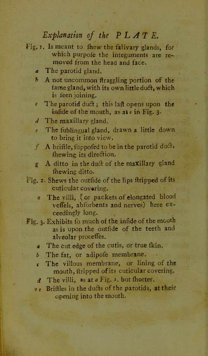 Explanation of the E L A7 E. Fig, J. Is meant to fhew the falivary glands, fof which purpole the integuments are re- moved from the head and face. a The parotid gland. h A not uncommon ftraggling portion of the lame gland, with its own little duft, which is feen joining. i The parotid du6l; this laft opens upon the inlide of the mouth, as at e in Fig. 3- d The maxillary glands e The fublingual gland, drawn a little down to bring it into view, / A briftle, fuppofed to be in the parotid du6V> lliewing its diredlion. g A ditto in the du£f of the maXillary gland fliewing ditto- Fig. 2. Shews the outlide of the lips ftripped of its • cuticular covsring. a The villi, { or packets of elongated blood velTels, abforbents and nerves) here ex- ceedingly long. Fig. 3. Exhibits fo much of the infide of the mouth as is upon the outfide of the teeth and alveolar procefles. 4 The cut edge of the cutis, or true (kin. b The fat, or adipofe membrane. 1 f The villous membrane, or lining of the mouth, ftripped of its cuticular covering. d The villi, as at a Fig. 2. but Ihorter. ? t Briftles in the du6ls of the parotids, at theif opening into the mouth.