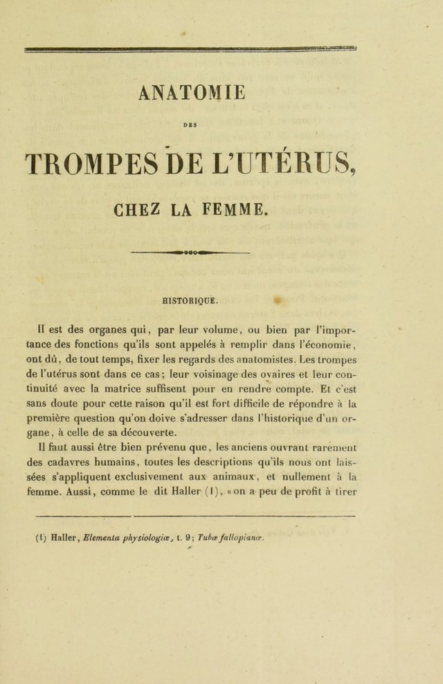 digitised image 3
