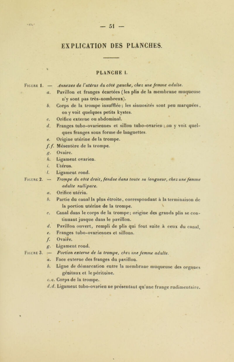 — 51 EXPLICATION DES PLANCHES. PLANCHE I. Figure 1. Figure 2. Figure 3. — Annexes de l'utérus du côté gauche, chez une jemme adulte. a. Pavillon et franges écartées (les plis de la naembrane muqueuse n’y sont pas très-nombreux). b. Corps de la trompe insufflée; les sinuosités sont peu marquées, on y voit quelques petits kystes. c. Orifice externe ou abdominal. d. Franges tubo-ovariennes et sillon tubo-ovarien ; on y voit quel- ques franges sous forme de languettes. e. Origine utérine de la trompe. f. f. Mésentère de la trompe. g. Ovaire. h. Ligament ovarien. /. Utérus. /. Ligament rond. — Trompe du côté droit, fendue dans toute sa longueur, chez une femme adulte nullipare. a. Orifice utérin. b. Partie du canal la plus étroite, correspondant à la terminaison de la portion utérine de la trompe, c. Canal dans le corps de la trompe; origine des grands plis se con- tinuant jusque dans le pavillon. d. Pavillon ouvert, rempli de plis qui font suite à ceux du canal. e. Franges tubo-ovariennes et sillons. /. Ovaire. g. Ligament rond. — Portion externe de la trompe, chez une Jemme adulte. a. Face externe des franges du pavillon. b. Ligne de démarcation entre la membrane muqueuse des organes génitaux et le péritoine. c. v. Corps de la trompe. d. d. Ligament tubo-ovarien ne présentant qu’une frange rudimentaire.