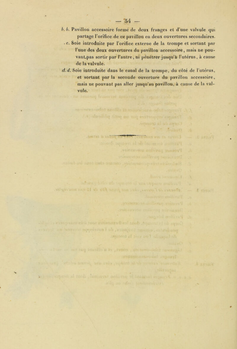 b. b. Pavilloa accessoire formé de deux franges et d’une valvule qui partage l’orifice de ce pavillon en deux ouvertures secondaires. . c. Soie introduite par l’orifice externe de la trompe et sortant par l’une des deux ouvertures du pavillon accessoire, mais ne pou- vanCpas sortir par l’antre, ni pénétrer jusqu’à l’utérus, à cause de la valvule. d.d. Soie introduite dans le canal de la trompe, du côté de l’utérus, et sortant par la seconde ouverture du pavillon accessoire , mais ne pouvant pas aller jusqu’au pavillon, à cause de la val- vule.