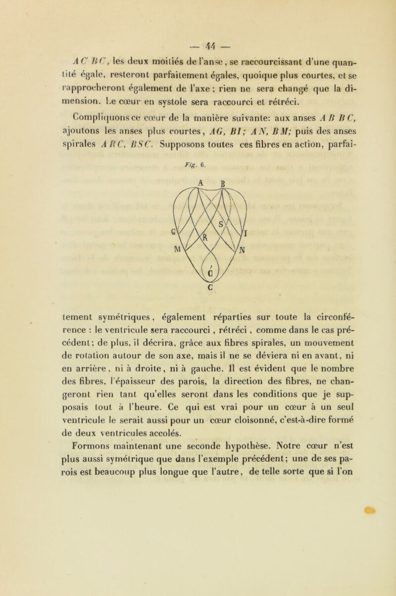 A C HC, les deux moitiés de l’anse, se raccourcissant d’une quan- tité égale, resteront parfaitement égales, quoique plus courtes, et se rapprocheront également de l’axe ; rien ne sera changé que la di- mension. Le cœur en systole sera raccourci et rétréci. Compliquons ce cœur de la manière suivante: aux anses A B B C, ajoutons les anses plus courtes, AG, BI; AN, BM; puis des anses spirales ARC, B SC. Supposons toutes ces fibres en action, parfai- Fig. 6. tement symétriques, également réparties sur toute la circonfé- rence : le ventricule sera raccourci , rétréci, comme dans le cas pré- cédent; de plus, il décrira, grâce aux fibres spirales, un mouvement de rotation autour de son axe, mais il ne se déviera ni en avant, ni en arrière, ni à droite, ni à gauche. Il est évident que le nombre des fibres, l’épaisseur des parois, la direction des fibres, ne chan- geront rien tant qu’elles seront dans les conditions que je sup- posais tout à l’heure. Ce qui est vrai pour un cœur à un seul ventricule le serait aussi pour un cœur cloisonné, c’est-à-dire formé de deux ventricules accolés. • • Formons maintenant une seconde hypothèse. Notre cœur n’est plus aussi symétrique que dans l’exemple précédent; une de ses pa- rois est beaucoup plus longue que l’autre, de telle sorte que si l’on