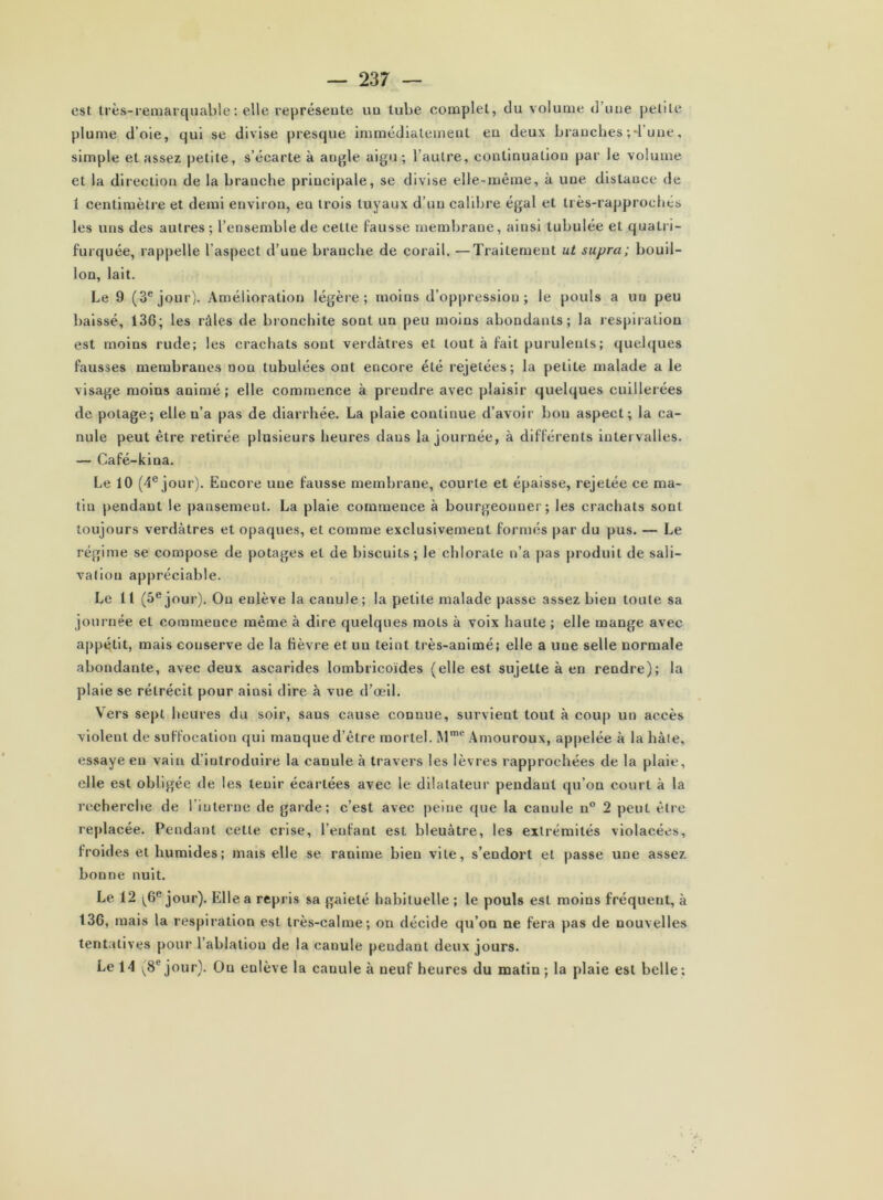 est très-remarquable ; elle représente uu tube complet, du volume d’uue j)elite plume d’oie, qui se divise presque immédiatement eu deux bi’auches ; d’une, simple et assez petite, s’écarte à angle aigu; l’autre, continuation par le volume et la direction de la branche principale, se divise elle-même, à une distance de i centimètre et demi environ, en trois tuyaux d’un calibre égal et très-rapprochés les uns des autres; l’ensemble de cette Fausse membrane, ainsi tubulée et quatri- furquée, rappelle l’aspect d’une branche de corail. —Traitement ut supra; bouil- lon, lait. Le 9 (3® jour). Amélioration légère; moins d’oppression; le pouls a un peu baissé, 136; les rûles de bronchite sont un peu moins abondants; la respiration est moins rude; les crachats sont veidâtres et tout à fait purulents; quelques fausses membranes non tubulées ont encore été rejetées; la petite malade a le visage moins animé ; elle commence à prendre avec plaisir quelques cuillerées de potage; elle n’a pas de diarrhée. La plaie continue d’avoir bon aspect; la ca- nule peut être retirée plusieurs heures dans la journée, à différents intervalles. — Café-kina. Le 10 (4® jour). Encore une fausse membrane, courte et épaisse, rejetée ce ma- tin pendant le pansement. La plaie commence à bourgeonner; les crachats sont toujours verdâtres et opaques, et comme exclusivement formés par du pus. — Le régime se compose de potages et de biscuits; le chlorate n’a pas produit de sali- valion appréciable. Le II (5® jour). Ou enlève la canule; la petite malade passe assez bien toute sa journée et commence même à dire quelques mots à voix haute ; elle mange avec a|)pétlt, mais conserve de la fièvre et uu teint très-animé; elle a une selle normale abondante, avec deux ascarides lombricoïdes (elle est sujette à en rendre); la plaie se rétrécit pour ainsi dire à vue d’œil. Vers sept heures du soir, sans cause connue, survient tout à coup un accès violent de suffocation qui manque d’être mortel. M’® Amouroux, appelée à la hàie, essaye en vain d’introduire la canule à travers les lèvres rapprochées de la plaie, elle est obligée de les tenir écartées avec le dilatateur pendant qu’on court à la recherche de l’interne de garde; c’est avec |)eine que la canule n” 2 peut être replacée. Pendant cette crise, l’enfant est bleuâtre, les extrémités violacées, froides et humides ; mais elle se ranime bien vite, s’endort et passe une assez bonne nuit. Le 12 i^6® jour). Elle a repris sa gaieté habituelle ; le pouls est moins fréquent, à 136, mais la respiration est très-calme; on décide qu’on ne fera pas de nouvelles tentatives pour l’ablation de la canule pendant deux jours. Le 14 (8® jour). Ou enlève la canule à neuf heures du matin ; la plaie est belle;