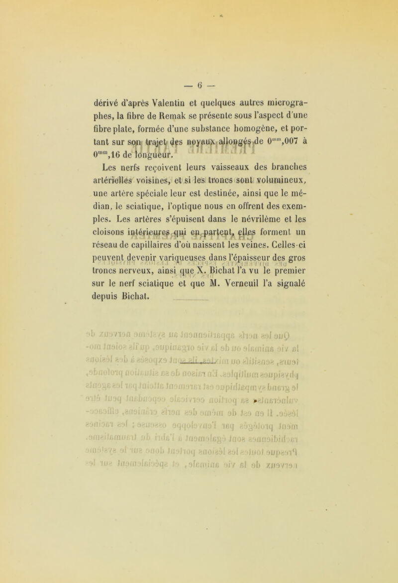 dérivé d’après Valentin et quelques autres microgra- plies, la fibre de Remak se présente sous l’aspect d’une fibre plate, formée d’une substance homogène, et por- tant sur son trajet des noyaux allongés de 0min,007 à 0mm,16 de longueur. Les nerfs reçoivent leurs vaisseaux des branches artérielles voisines, et si les troncs sont volumineux, une artère spéciale leur est destinée, ainsi que le mé- dian, le sciatique, l’optique nous en offrent des exem- ples. Les artères s’épuisent dans le névrilème et les cloisons intérieures qui eu, partent, elles forment un réseau de capillaires d’où naissent les veines. Celles-ci peuvent devenir variqueuses dans l’épaisseur des gros I J, I O troncs nerveux, ainsi que X. Bichat l’a vu le premier sur le nerf sciatique et que M. Verneuil l’a signalé depuis Bichat. — 1 o zjjovxofl oncla^a un j u o fi f 16 il îeqqfi «lion a ol ou Q om Jaoio* «li'xjp t9upiiin* 110 01/ i a 1 oh no a Ininii IIB 9Î7 iil noir il <'ih é oaoqzs Jucir Lzim uo aliJian ,8109) obnoloiq noiinuJia na oh ■ Î021B1 i Ü «olqfJluma; mpiayilq Jnogc aol 'inq JaiolJjj Jnon : mpi iijjsqfn y a biïG'Ig 9l alu iiJoq Jniéuoqoo oki 0 /100 ü » inionlu-' •iocoülo «ansiniVio aîi9fl 200 OIll mu ah Ja0 no Il .aoaàl omorn as! ; aauoaao oq< jOlO /uo ‘1 laq aogùJo iq J nam afnaijfimufiii .oh rulc*! ù Jnomol ng » Jnoa aaiin sibiil un III /£ 01 (JJ 2 on Ou JII0 J mq «no iaàl aolaolnoj oupaoiR '»! ma Jimrnobùoàqa la «ofcmù in 017 ni oh ZU9V19 1