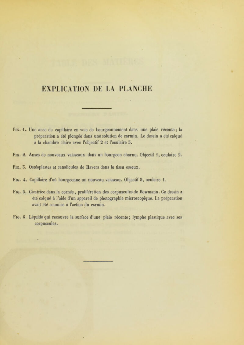 EXPLICATION DE LA PLANCHE Fig. i. Une anse de capillaire en voie de bourgeonnement dans une plaie récente; la préparation a été plongée dans une solution de carmin. Le dessin a été calqué à la chambre claire avec l’objectif 2 et l’oculaire 3. Fig. 2. Anses de nouveaux vaisseaux dans un bourgeon charnu. Objectif i, oculaire 2. Fig. 3. Ostéoplastes et canalicules de Havers dans le tissu osseux. Fig. 4. Capillaire d’où bourgeonne un nouveau vaisseau. Objectif b, oculaire i. Fig. b. Cicatrice dans la cornée, prolifération des corpuscules de Bowmann. Ce dessin a été calqué à l’aide d’un appareil de photographie microscopique. La préparation avait été soumise à l’action du carmin. Fig. 6. Liquide qui recouvre la surface d’une plaie récente; lymphe plastique avec ses corpuscules.