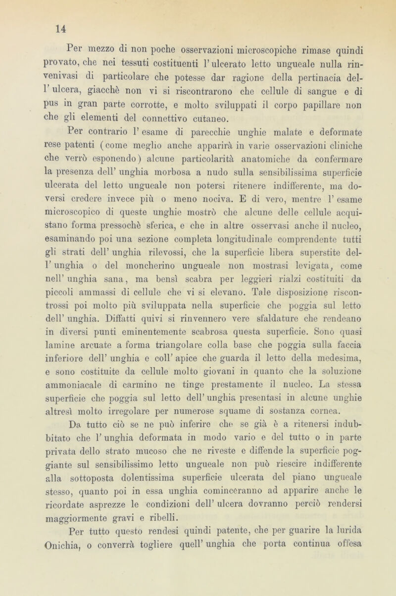 Per mezzo di non poche osservazioni microscopiche rimase quindi provato, che nei tessuti costituenti l’ulcerato letto ungueale nulla rin- venivasi di particolare che potesse dar ragione della pertinacia del- 1 ulcera, giacché non vi si riscontrarono che cellule di sangue e di pus in gran parte corrotte, e molto sviluppati il corpo papillare non che gli elementi del connettivo cutaneo. Per contrario l’esame di parecchie unghie malate e deformate rese patenti (come meglio anche apparirà in varie osservazioni cliniche che verrò esponendo) alcune particolarità anatomiche da confermare la presenza dell’ unghia morbosa a nudo sulla sensibilissima superfìcie ulcerata del letto ungueale non potersi ritenere indifferente, ma do- versi credere invece più o meno nociva. E di vero, mentre 1’ esame microscopico di queste unghie mostrò che alcune delle cellule acqui- stano forma pressoché sferica, e che in altre osservasi anche il nucleo, esaminando poi una sezione completa longitudinale comprendente tutti gli strati dell’ unghia rilevossi, che la superficie libera superstite dei- fi unghia o del moncherino ungueale non mostrasi levigata, come nell’unghia sana, ma bensì scabra per leggieri rialzi costituiti da piccoli ammassi di cellule che vi si elevano. Tale disposizione riscon- trossi poi molto più sviluppata nella superficie che poggia sul letto dell’ unghia. Diffatti quivi si rinvennero vere sfaldature che rendeano in diversi punti eminentemente scabrosa questa superficie. Sono quasi lamine arcuate a forma triangolare colla base che poggia sulla faccia inferiore dell’ unghia e coll’ apice che guarda il letto della medesima, e sono costituite da cellule molto giovani in quanto che la soluzione ammoniacale di carmino ne tinge prestamente il nucleo. La stessa superficie che poggia sul letto dell’ unghia presentasi in alcune unghie altresì molto irregolare per numerose squame di sostanza cornea. Da tutto ciò se ne può inferire che se già è a ritenersi indub- itato che fi unghia deformata in modo vario e del tutto o in parte privata dello strato mucoso che ne riveste e diffende la superficie pog- giante sul sensibilissimo letto ungueale non può riescire indifferente alla sottoposta dolentissima superficie ulcerata del piano ungueale stesso, quanto poi in essa unghia cominceranno ad apparire anche le ricordate asprezze le condizioni dell’ ulcera dovranno perciò rendersi maggiormente gravi e ribelli. Per tutto questo rendesi quindi patente, che per guarire la lurida Onichia, o converrà togliere quell’ unghia che porta continua offésa