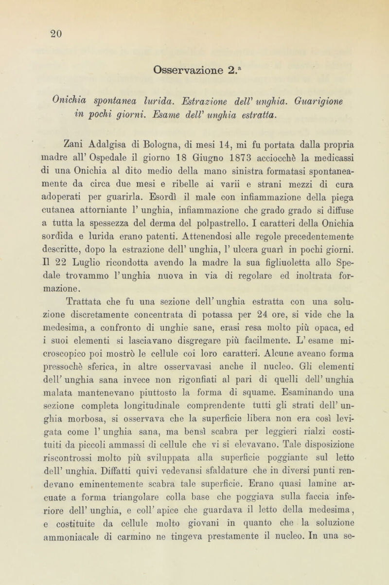 Osservazione 2.a Onichia spontanea lurida. Estrazione delV unghia. Guarigione in pochi giorni. Esame delV unghia estratta. Zani Adalgisa di Bologna, di mesi 14, mi fu portata dalla propria madre all’ Ospedale il giorno 18 Giugno 1873 acciocché la medicassi di una Onichia al dito medio della mano sinistra formatasi spontanea- mente da circa due mesi e ribelle ai varii e strani mezzi di cura adoperati per guarirla. Esordì il male con infiammazione della piega cutanea attorniante 1’ unghia, infiammazione che grado grado si diffuse a tutta la spessezza del derma del polpastrello. I caratteri della Onichia sordida e lurida erano patenti. Attenendosi alle regole precedentemente descritte, dopo la estrazione dell’ unghia, 1’ ulcera guarì in pochi giorni. Il 22 Luglio ricondotta avendo la madre la sua fìgliuoletta allo Spe- dale trovammo l’unghia nuova in via di regolare ed inoltrata for- mazione. Trattata che fu una sezione dell’ unghia estratta con una solu- zione discretamente concentrata di potassa per 24 ore, si vide che la medesima, a confronto di unghie sane, erasi resa molto più opaca, ed i suoi elementi si lasciavano disgregare più facilmente. L’ esame mi- croscopico poi mostrò le cellule coi loro caratteri. Alcune aveano forma pressoché sferica, in altre osservavasi anche il nucleo. Gli elementi dell’ unghia sana invece non rigonfiati al pari di quelli dell’ unghia malata mantenevano piuttosto la forma di squame. Esaminando una sezione completa longitudinale comprendente tutti gli strati dell’ un- ghia morbosa, si osservava che la superficie libera non era così levi- gata come 1’ unghia sana, ma bensì scabra per leggieri rialzi costi- tuiti da piccoli ammassi di cellule che vi si elevavano. Tale disposizione riscontrossi molto più sviluppata alla superficie poggiante sul letto dell’ unghia. Diffatti quivi vedevansi sfaldature che in diversi punti ren- devano eminentemente scabra tale superficie. Erano quasi lamine ar- cuate a forma triangolare colla base che poggiava sulla faccia infe- riore dell’ unghia, e coll’ apice che guardava il letto della medesima, e costituite da cellule molto giovani in quanto che la soluzione ammoniacale di carmino ne tingeva prestamente il nucleo. In una se-
