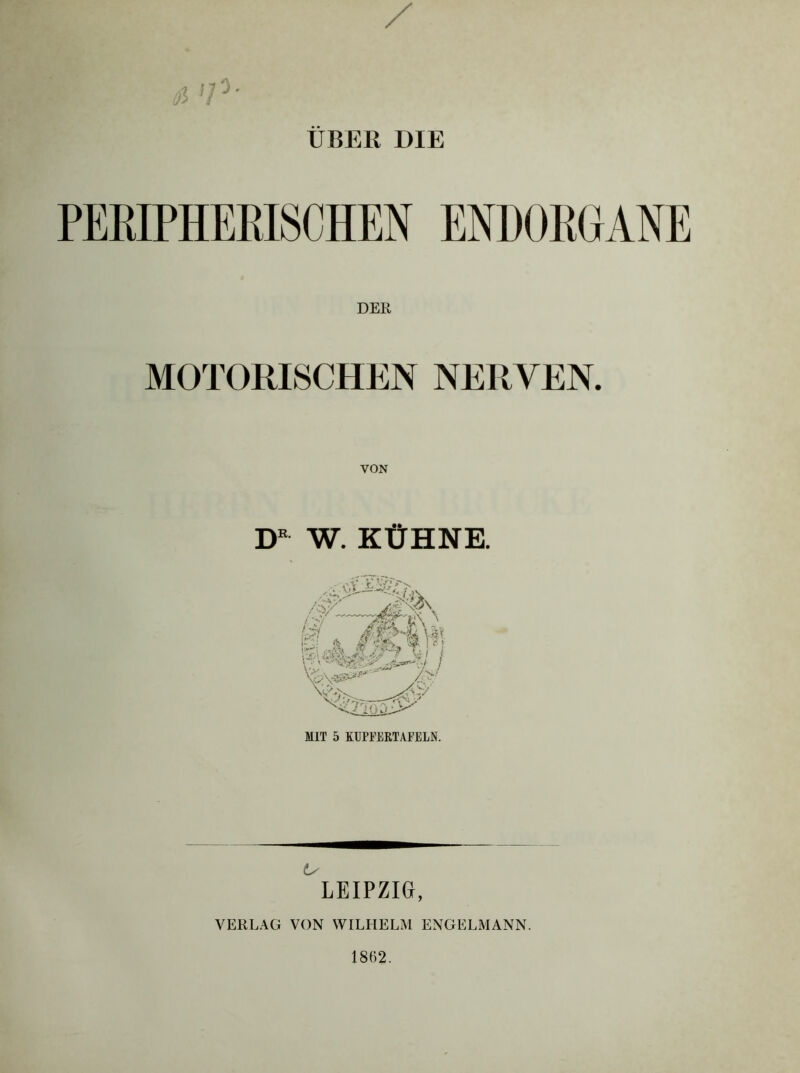 HT' / ■3 ÜBER DIE PERIPHERISCHEN ENHORGANE DER MOTORISCHEN NERVEN. VON ir W. KÜHNE. /;i ' sujis-A.#“’’ ^ I Vfev*“'' 4^' MIT 5 KUPEERTAFELN. LEIPZIG, VERLAG VON WILHELAl ENGELMANN. 1862.