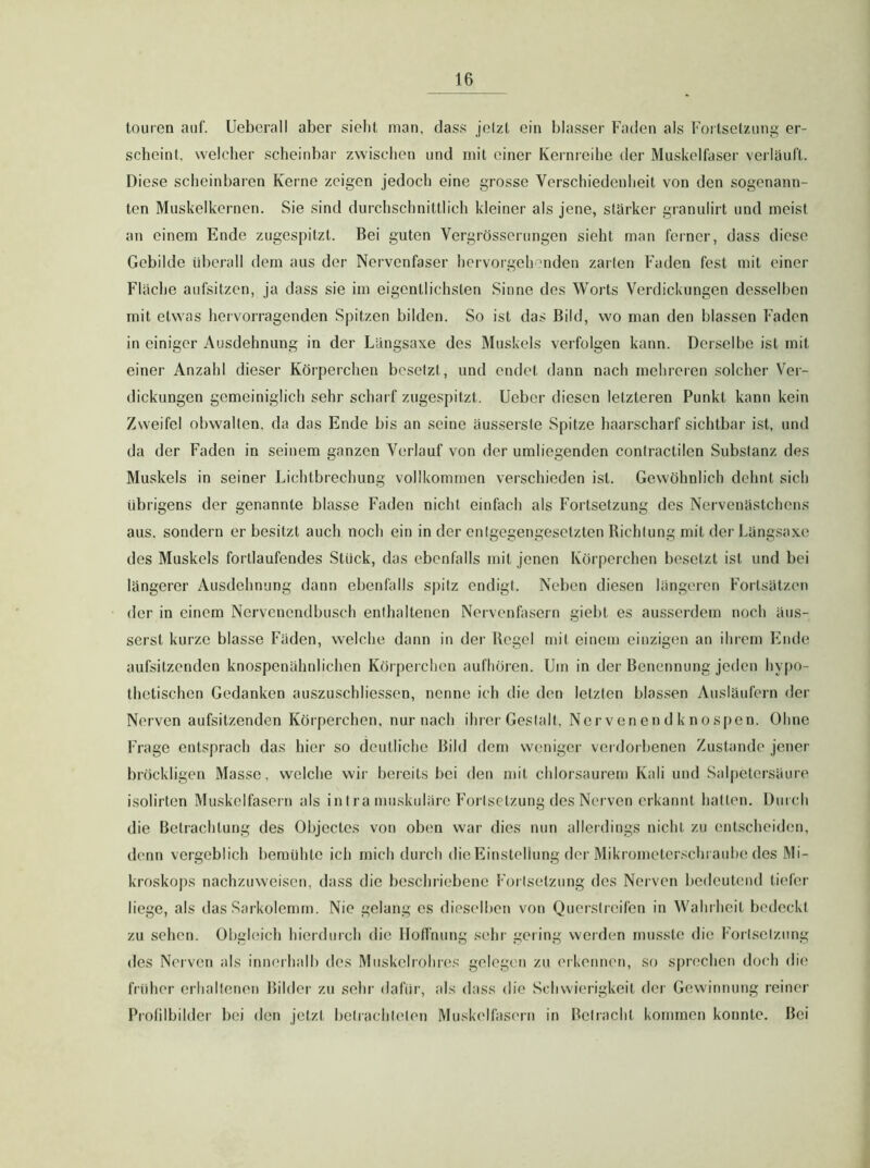 touren auf. Ueberall aber sieht man, dass jetzt ein blasser Faden als Fortsetzung er- scheint, welcher scheinbar zwischen und mit einer Kernreihe der Muskelfaser verläuft. Diese scheinbaren Kerne zeigen jedoch eine grosse Verschiedenheit von den sogenann- ten Muskelkernen. Sie sind durchschnittlich kleiner als jene, stärker granulirt und meist an einem Ende zugespitzt. Bei guten Vergrösserungen sieht man ferner, dass diese Gebilde überall dem aus der Nervenfaser hervorgelr^nden zarten Faden fest mit einer Fläche aufsitzen, ja dass sie im eigentlichsten Sinne des Worts Verdickungen desselben mit etwas hervorragenden Spitzen bilden. So ist das Bild, wo man den blassen Faden in einiger Ausdehnung in der Langsaxe des Muskels verfolgen kann. Derselbe ist mit einer Anzahl dieser Körperchen besetzt, und endet dann nach mehreren solcher Ver- dickungen gemeiniglich sehr scharf zugespitzt, lieber diesen letzteren Punkt kann kein Zweifel obwalten, da das Ende bis an seine äusserste Spitze haarscharf sichtbar ist, und da der Faden in seinem ganzen Verlauf von der umliegenden coniractilen Substanz des Muskels in seiner Lichtbrechung vollkommen verschieden ist. Gewöhnlich dehnt sich übrigens der genannte blasse Faden nicht einfach als Fortsetzung des Nervenästchens aus, sondern erbesitzt auch noch ein in der entgegengesetzten Bichlung mit der Längsaxe des Muskels fortlaufendes Stück, das ebenfalls mit jenen Körperchen besetzt ist und bei längerer Ausdehnung dann ebenfalls spitz endigt. Neben diesen längeren Fortsätzen der in einem Nervenendbusch enthaltenen Nervenfasern giebt es ausserdem noch äus- serst kurze blasse Fäden, welche dann in der Regel mit einem einzigen an ihrem Ende aufsitzenden knospenähnlichen Körpeiclicn aufliören. Um in der Benennung jeden hyf>o- thetischen Gedanken auszuschliessen, nenne ich die den letzten blassen Ausläufern der Nerven aufsitzenden Körperchen, nur nach iluer Gestalt, Nerven en d k n o s|)en. Ohne Frage entsprach das hier so deutliche Bild dem weniger verdorbenen Zustande jener bröckligen Masse, welche wir bereits bei den mit chlorsaurem Kali und Salpetersäure isolirten Muskelfasein als intramuskuläre Fortsetzung des Nerven erkannt hatten. Durch die Betrachtung des Objectes von oben war dies nun allerdings nicht zu entscheiden, denn vergeblich bemühte ich mich durch die Einstellung der Mikrometerschrauhe des Mi- kroskops nachzuweisen, dass die beschriebene Fortsetzung dos Nerven bedeutend tiefer liege, als das Sarkolemm. Nie gelang es dieselben von Querstreifen in Wahrheit bedeckt zu sehen. Obgleich hierduich die Hotfmmg sehr gering werden musste die Fortsetzung des Nerven als inneihalb dos Muskelrohres gelegen zu erkennen, so sprechen doch die früher erhaltenen Bilder zu sehr dafür, als dass die Schwierigkeit der Gewinnung reiner Prolilbilder bei den jetzt betrachteten Muskelfasern in Betracht kommen konnte. Boi